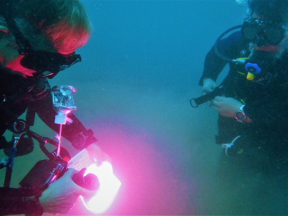 received_248674494446117