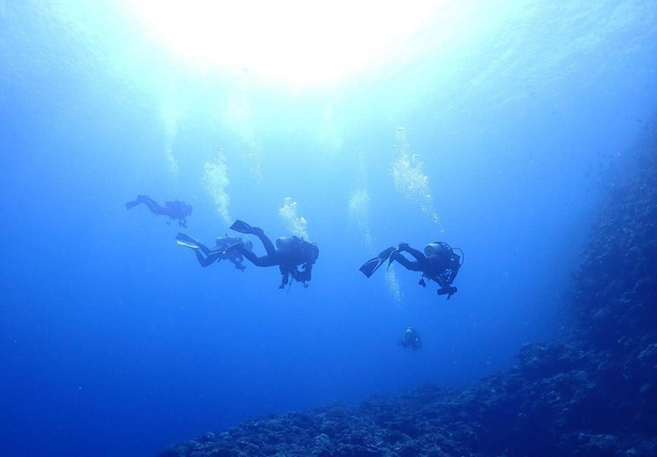 received_991827408734375