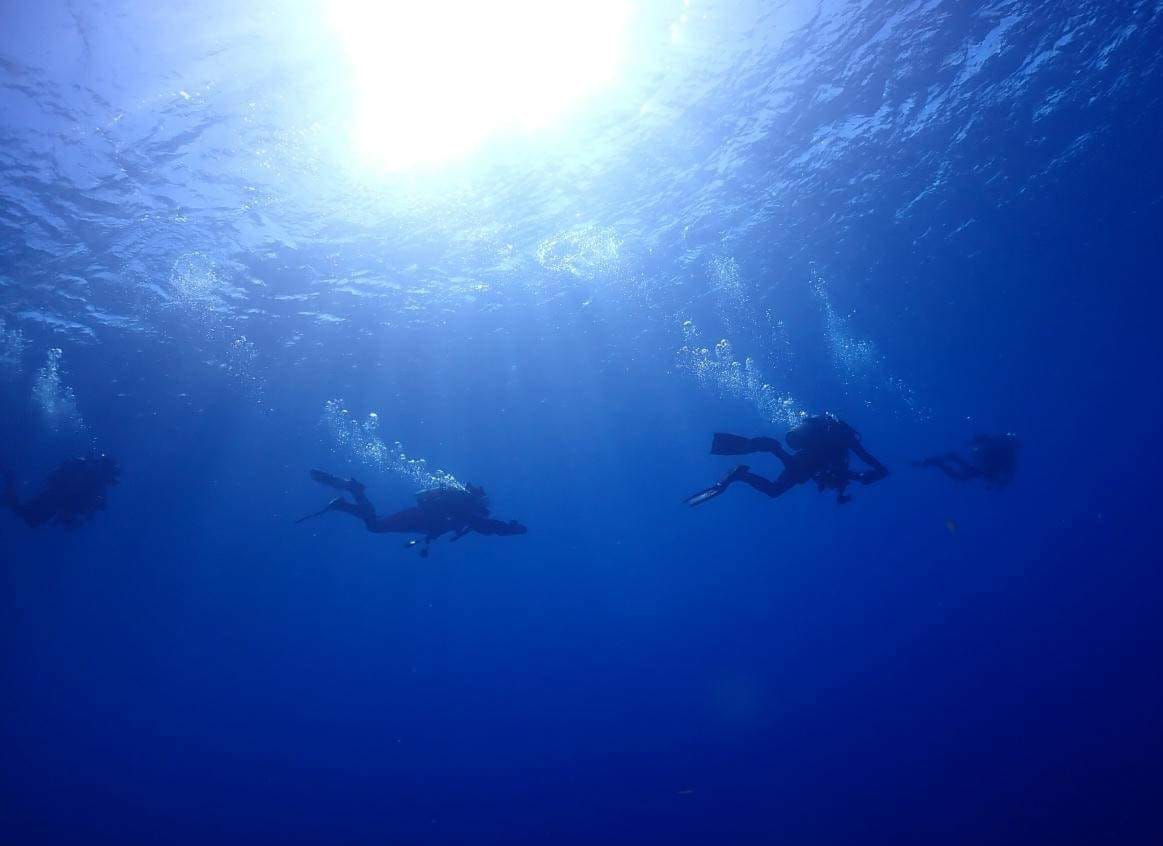 299660866_2645624498902388_2867934442694574110_n