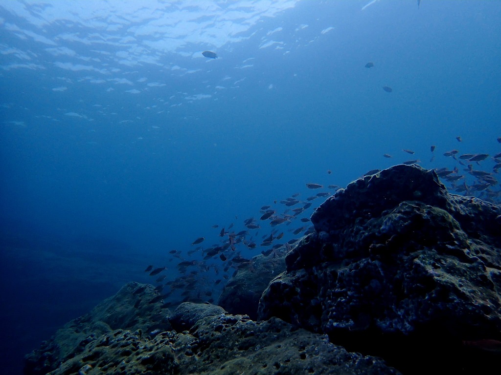 385706675_2996186877179480_2282720921727164235_n