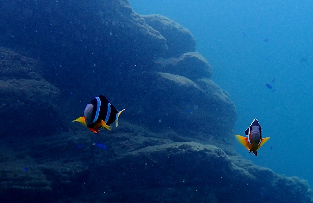 385707093_2996186827179485_7978493639259402456_n