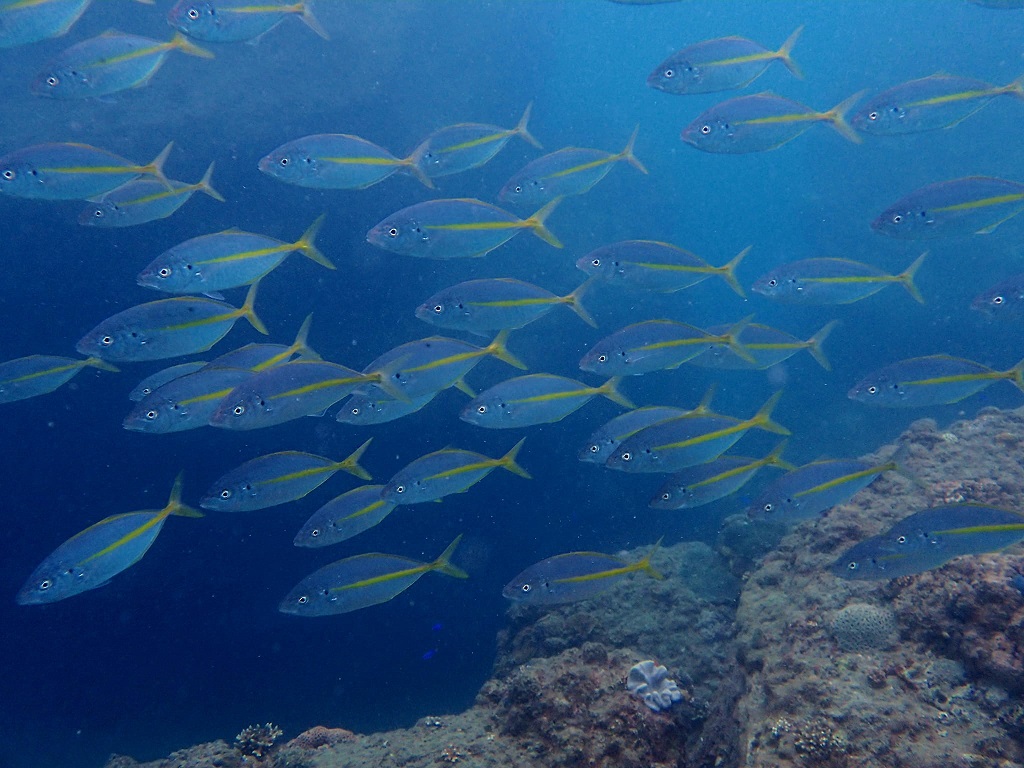 385729943_2996186737179494_6617768285250138944_n