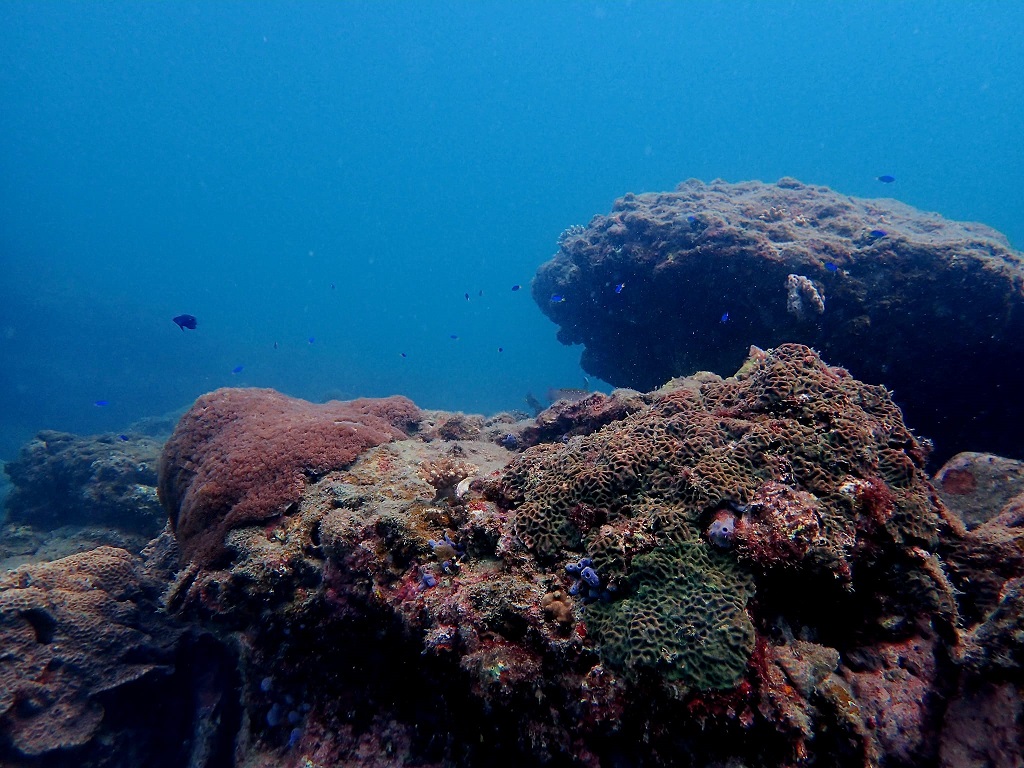 385741210_2996186937179474_5217673209104841824_n