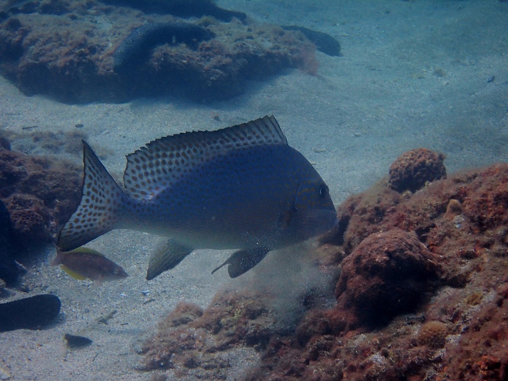 385891182_2996186910512810_7750599172884903917_n