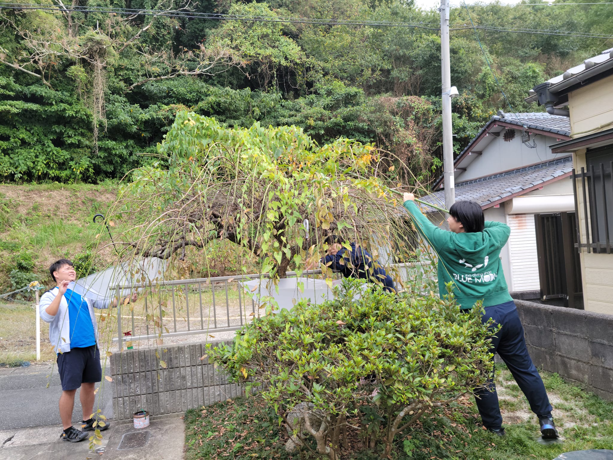 387191694_3000248626773305_8405717281202167400_n