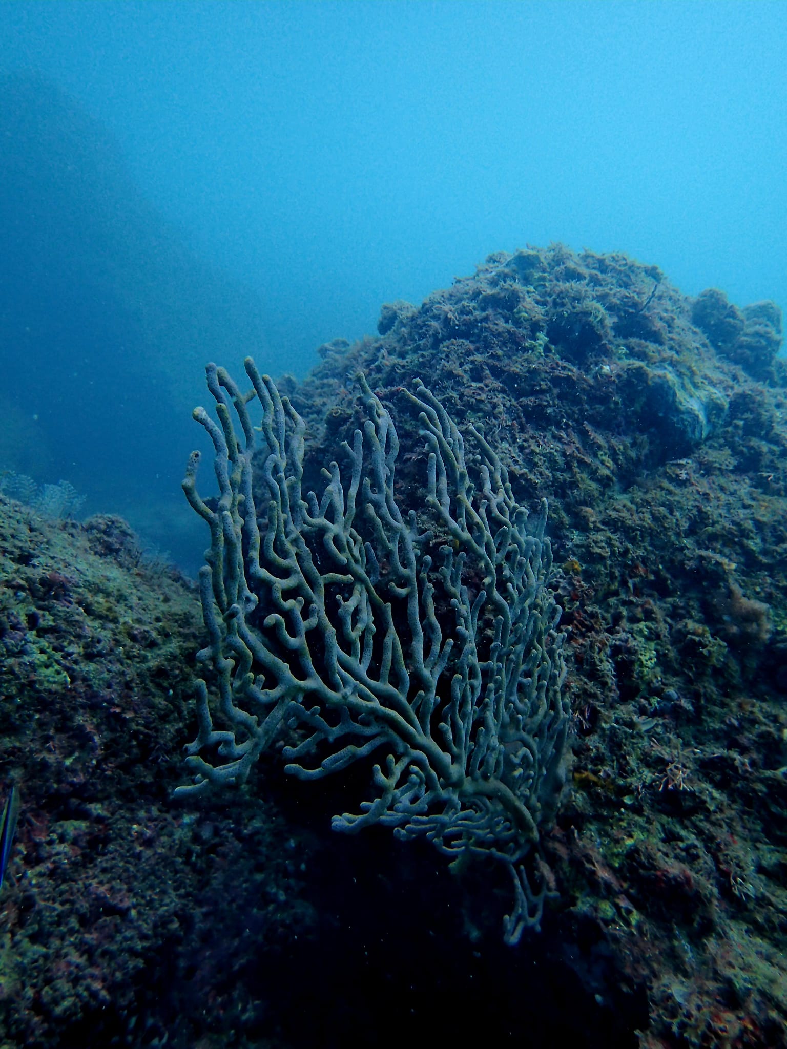 387779284_3000248450106656_2366003818479921370_n