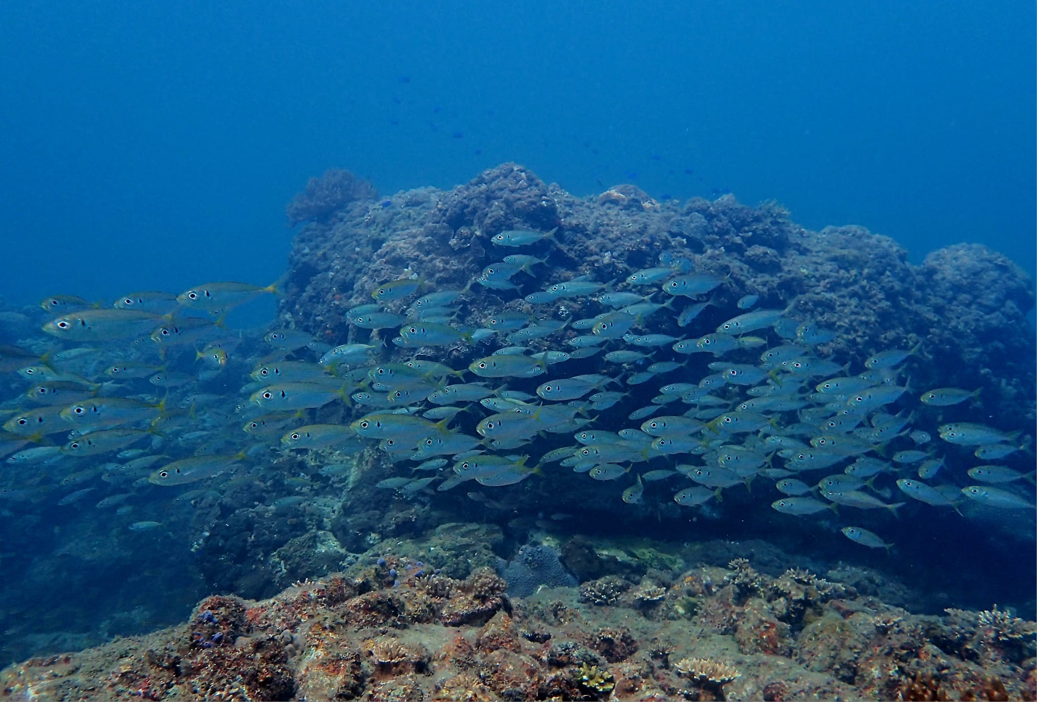 387872903_3005962146201953_5783384274327084909_n