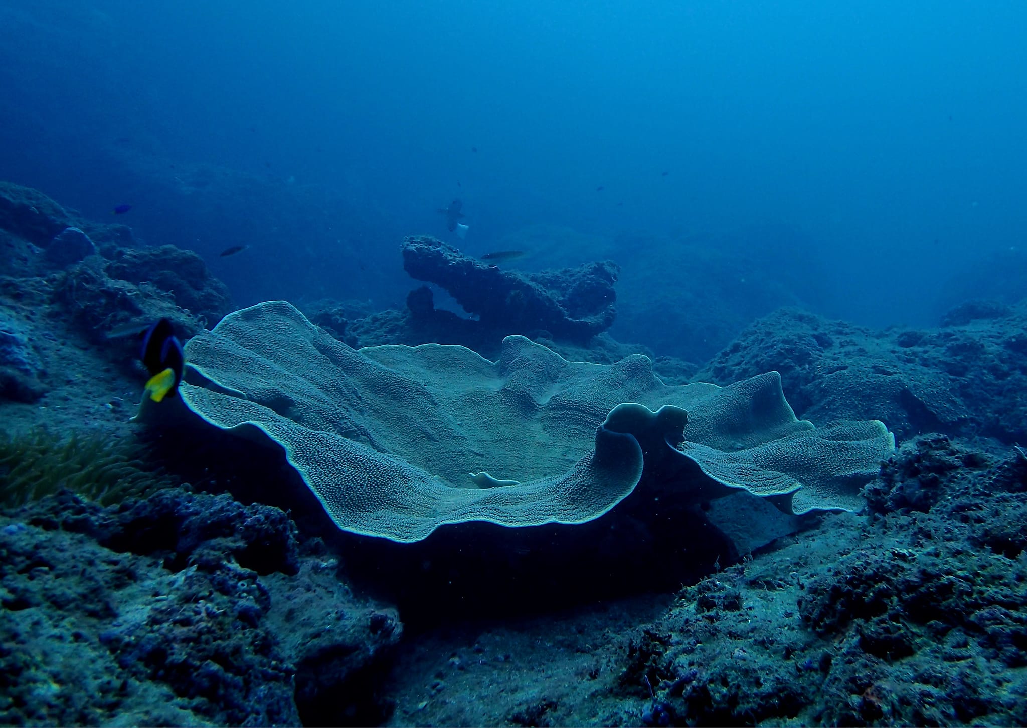 387873064_3005961459535355_3839040575584757798_n