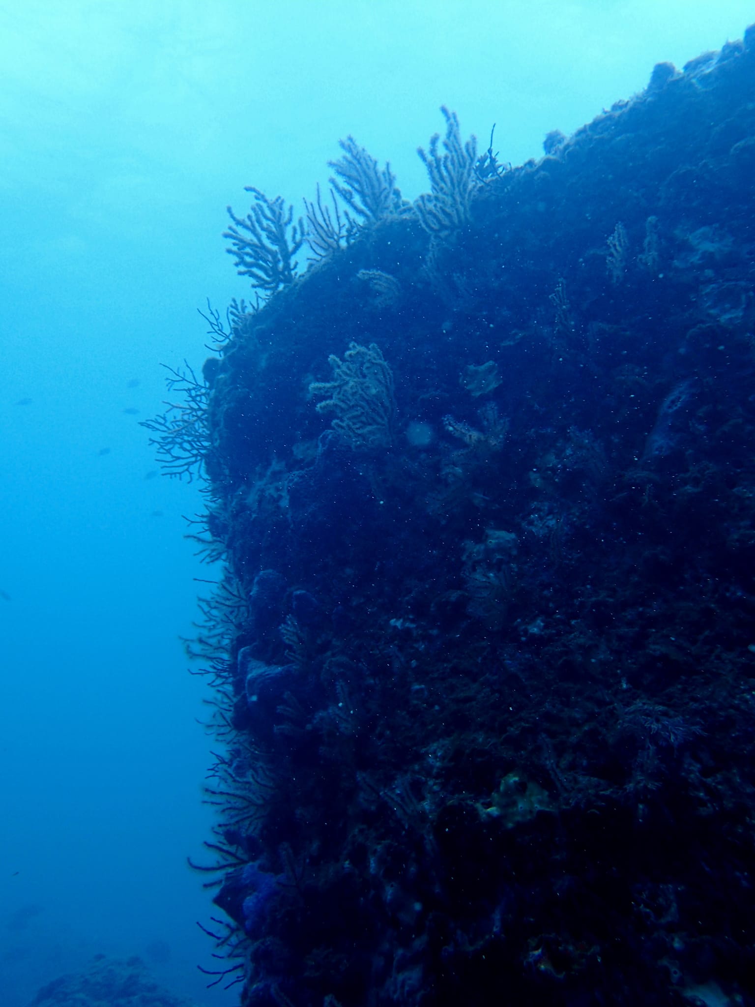 387874432_3005962019535299_6281846565777678921_n