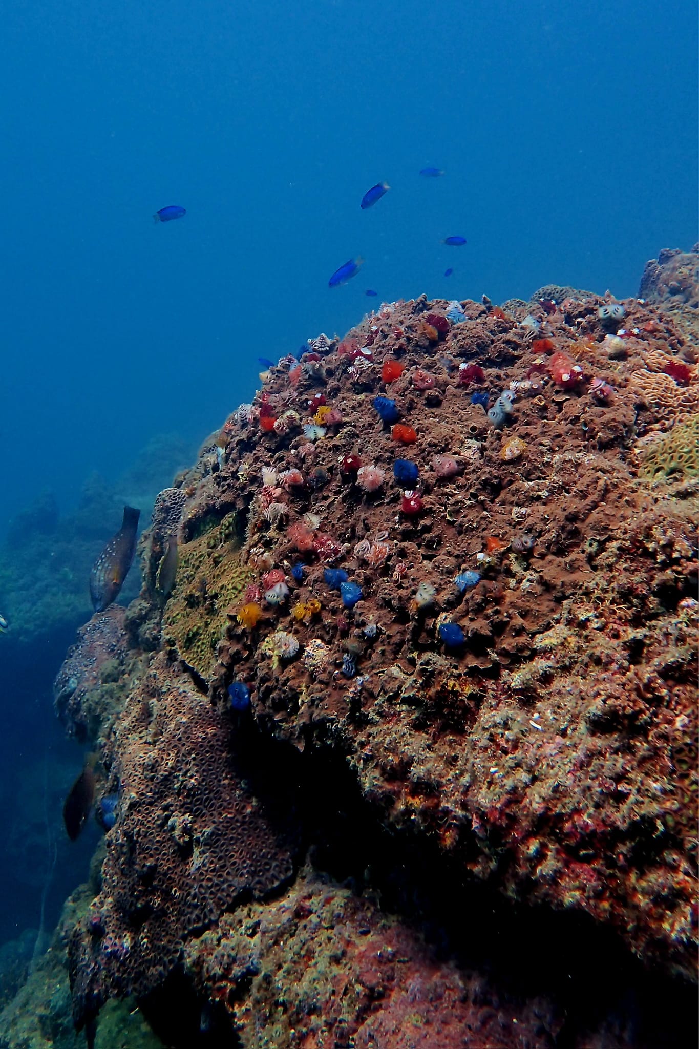 387874610_3005961966201971_1826692379686744862_n