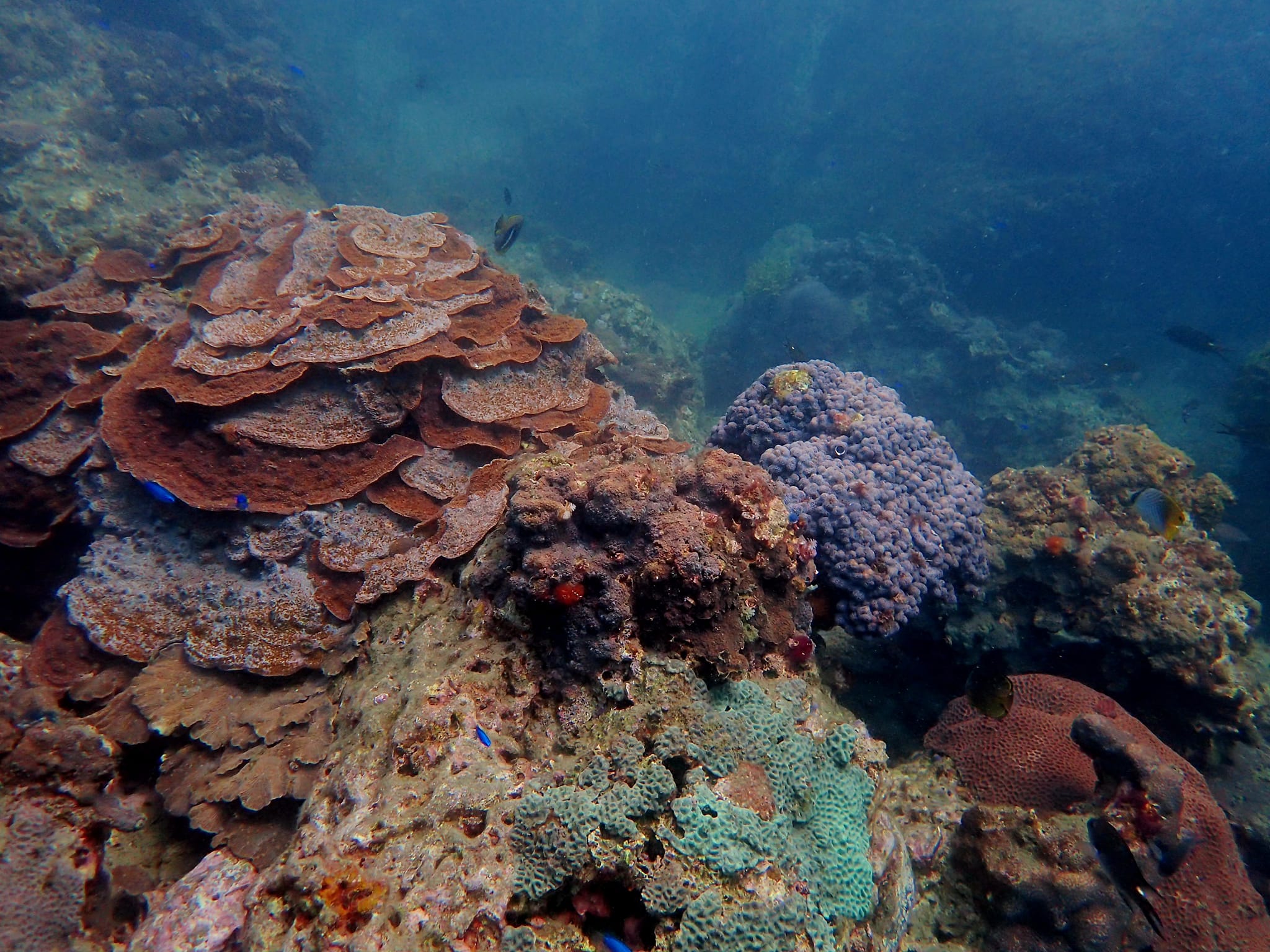 394365477_3011574005640767_9023663527446937415_n