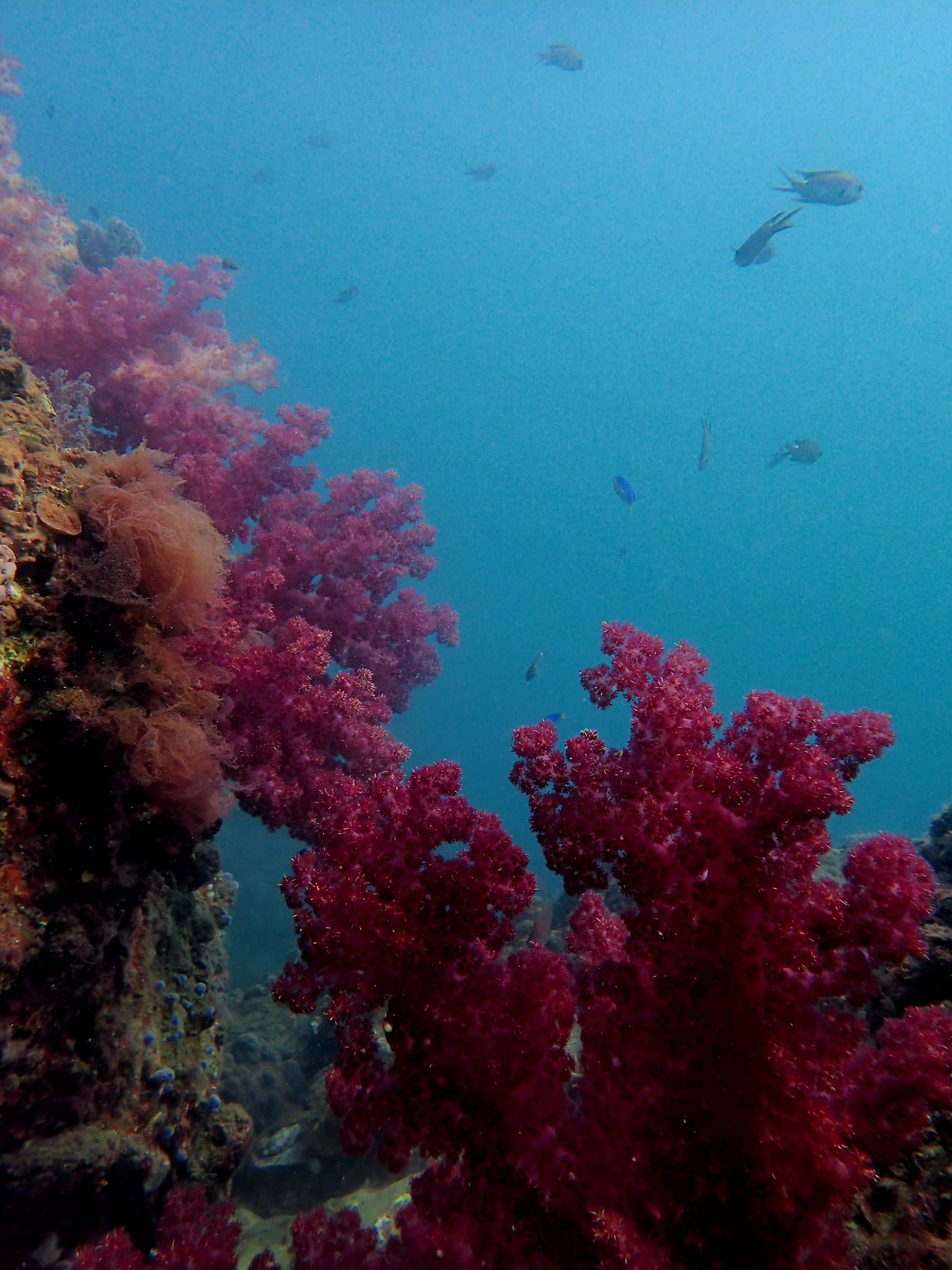 394381755_3011573928974108_5339566201315353459_n