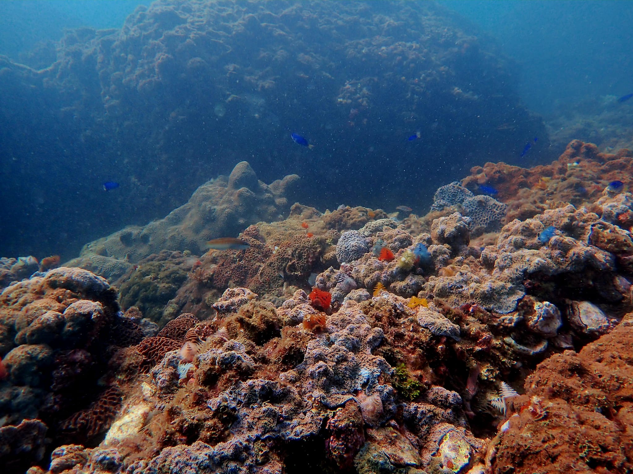 394381830_3011574052307429_5140295529533470063_n