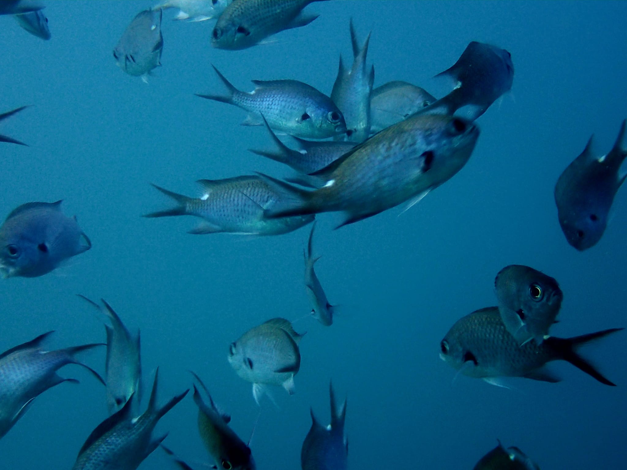 394404138_3011574095640758_7747064815466601430_n