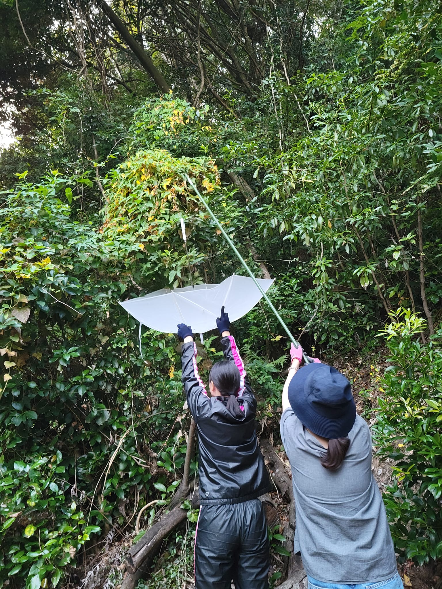 398164597_3020174468114054_5046177545477721380_n