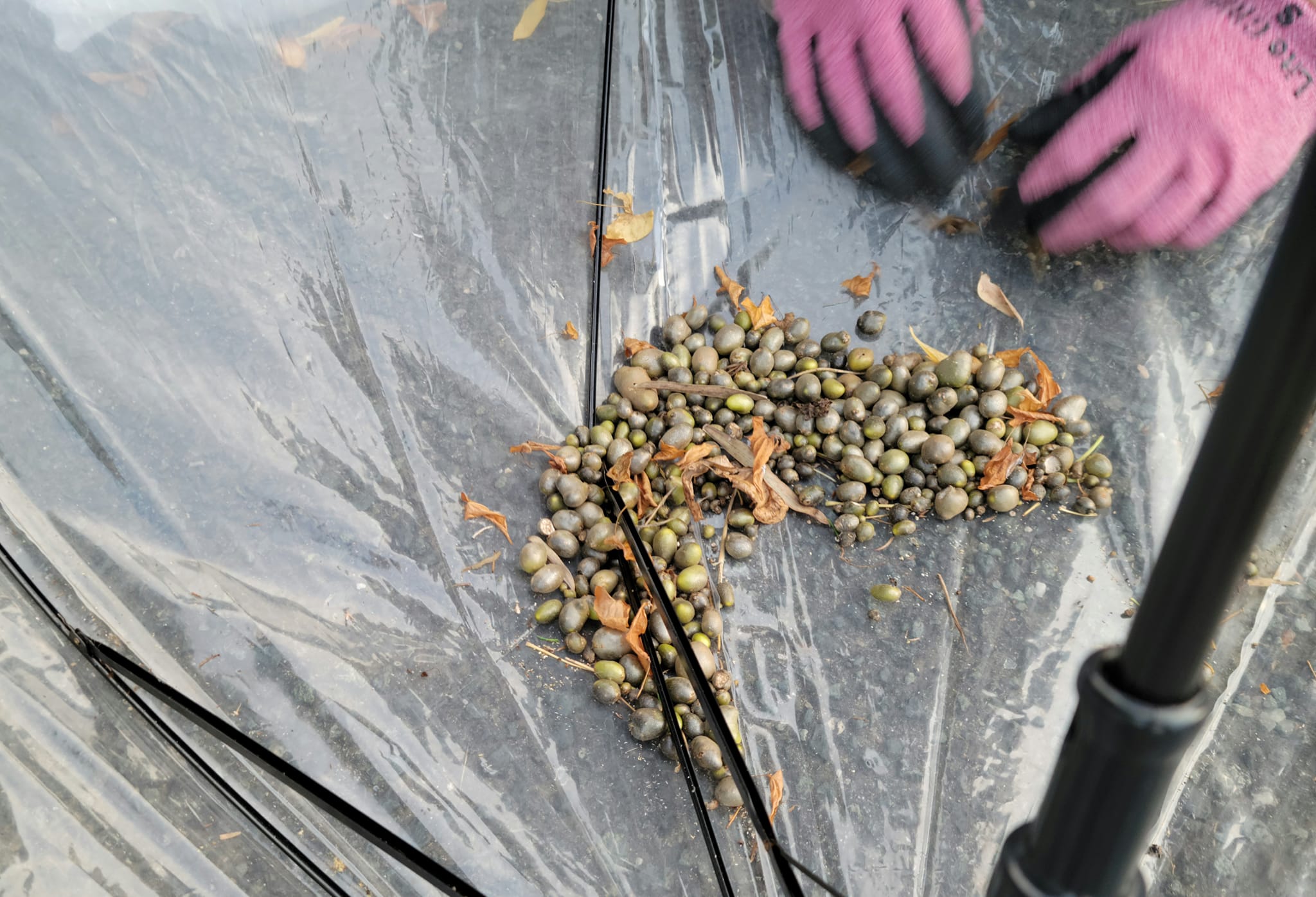 398192850_3020174534780714_824327594105691692_n