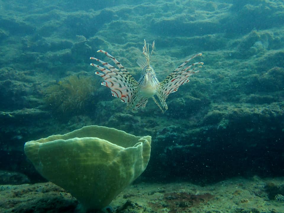 398204549_3019647161500118_5105773774831200964_n