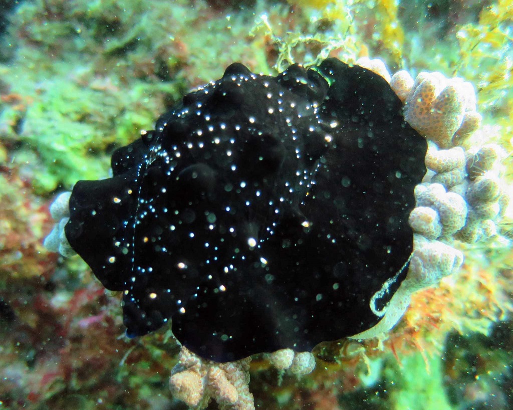 received_1698954270581910