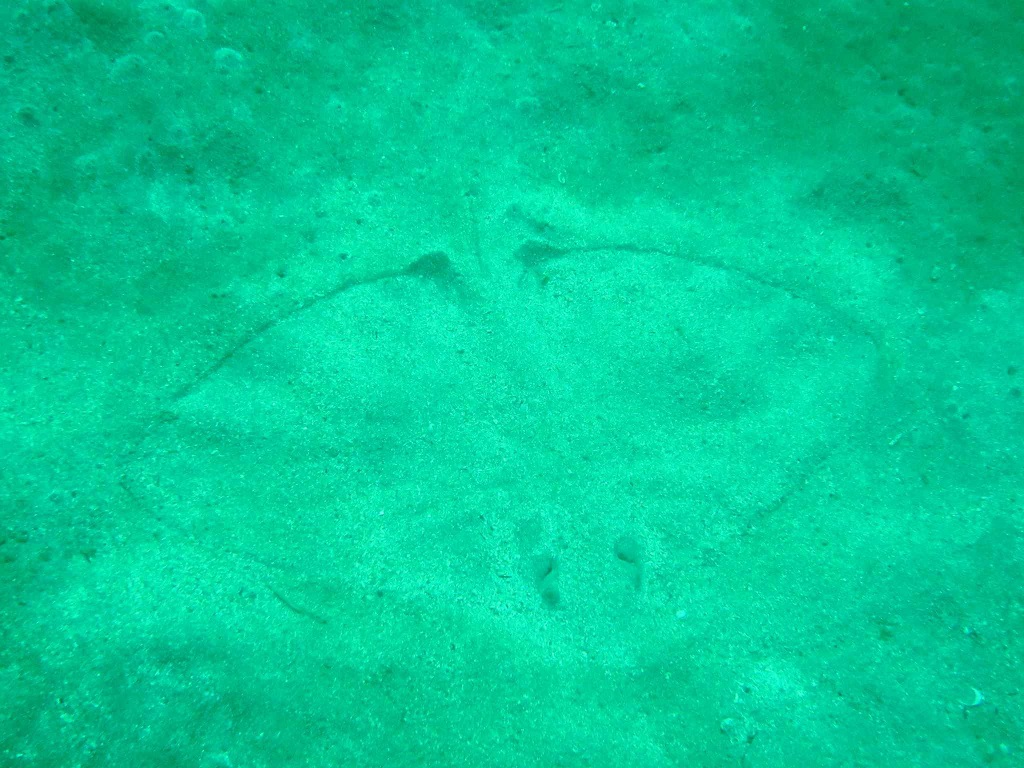 received_622224796548013