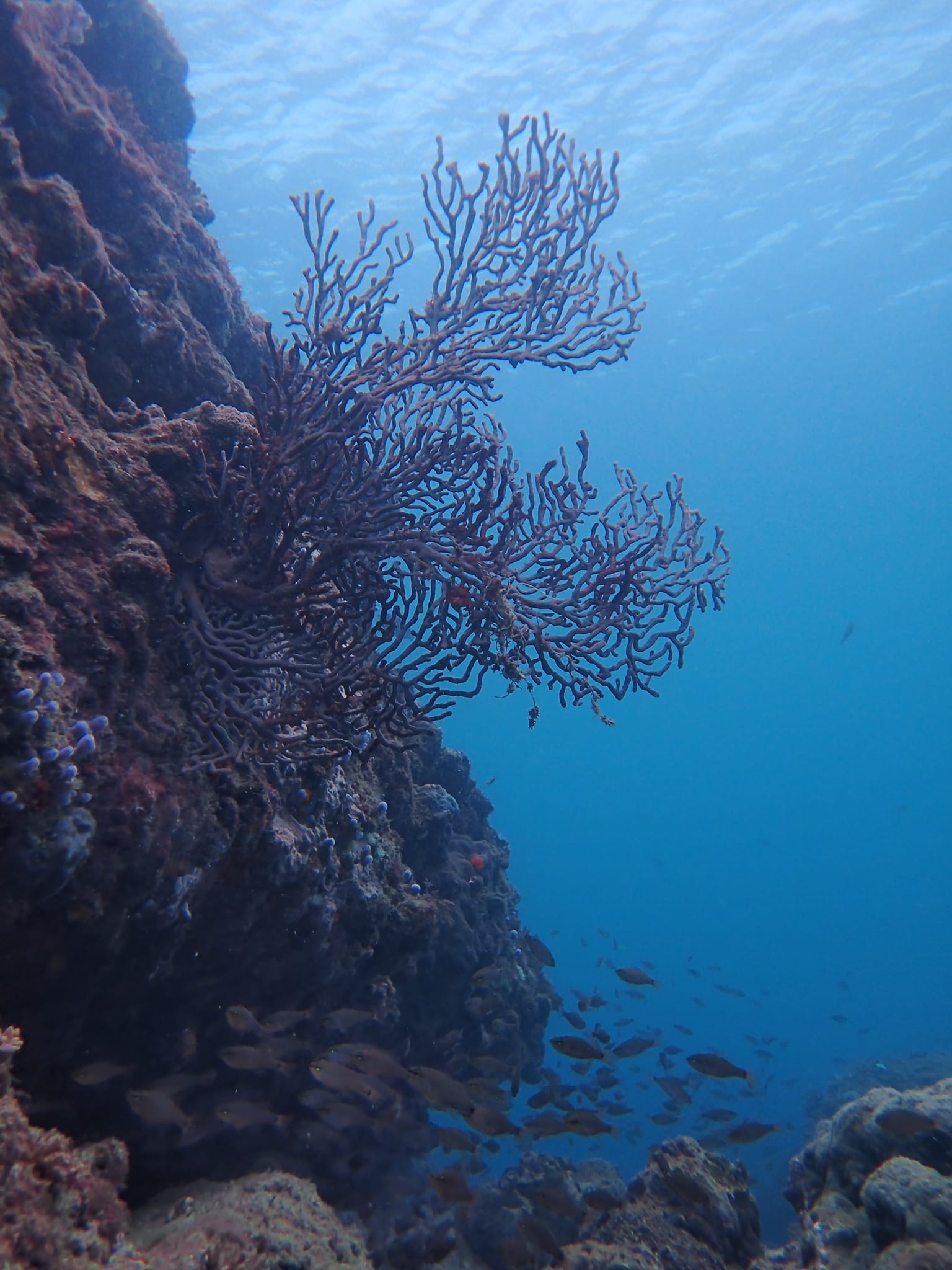 413795906_3052875351510632_893921032791410609_n