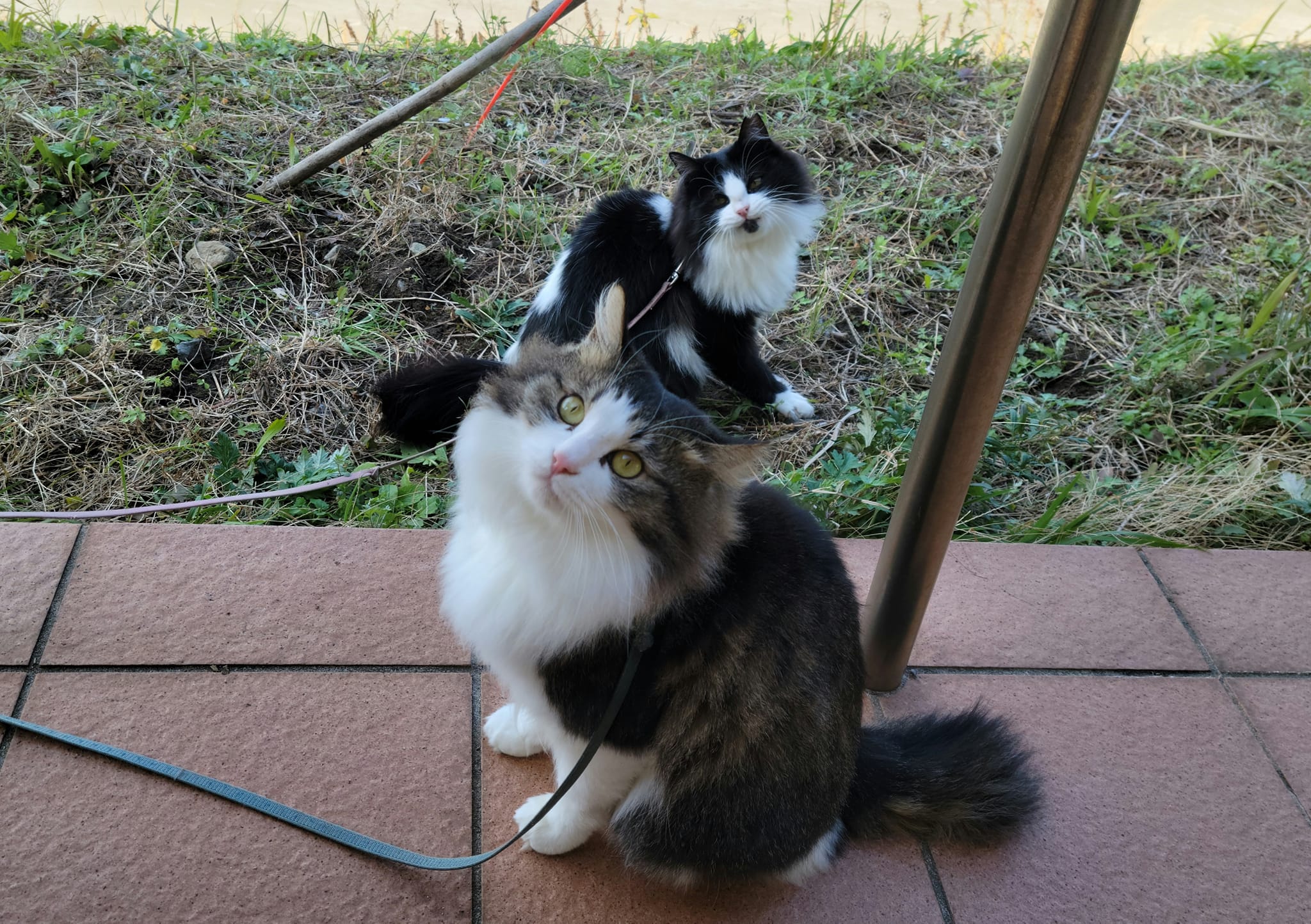 419195209_3067962126668621_5947641861984418754_n