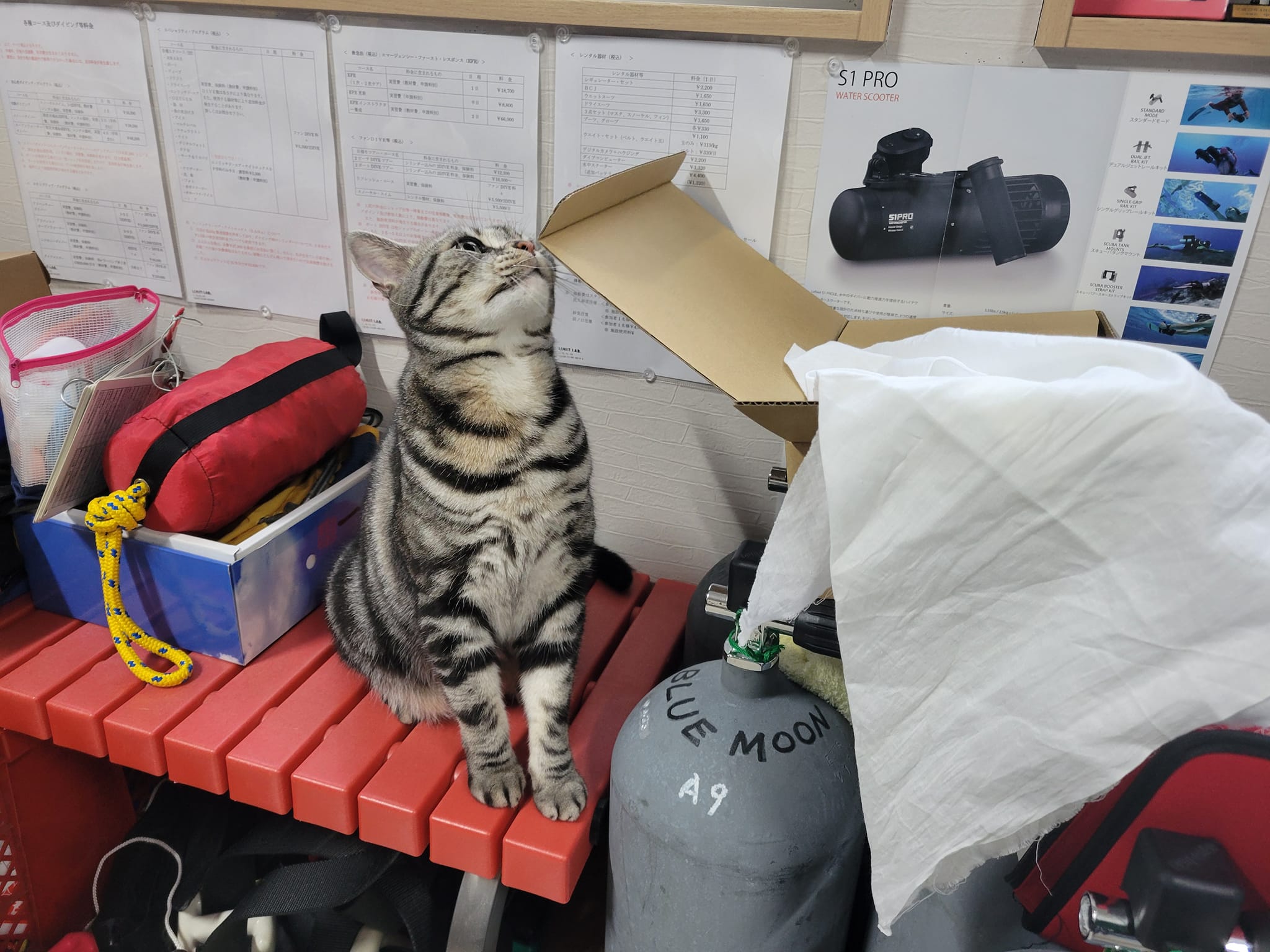 420242563_3120329788098521_1732236945798200608_n