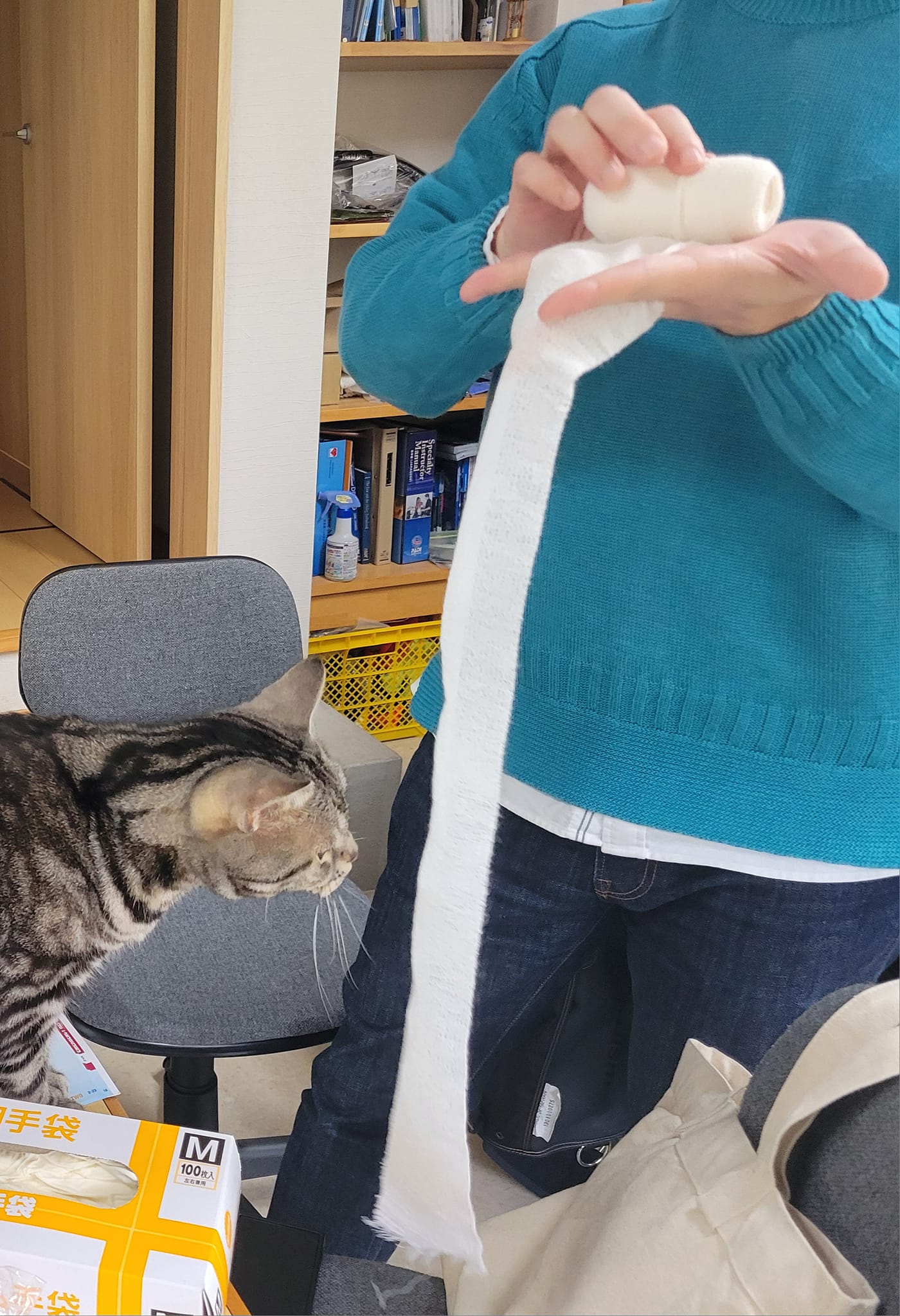 433915844_3120329848098515_8957123480709417468_n