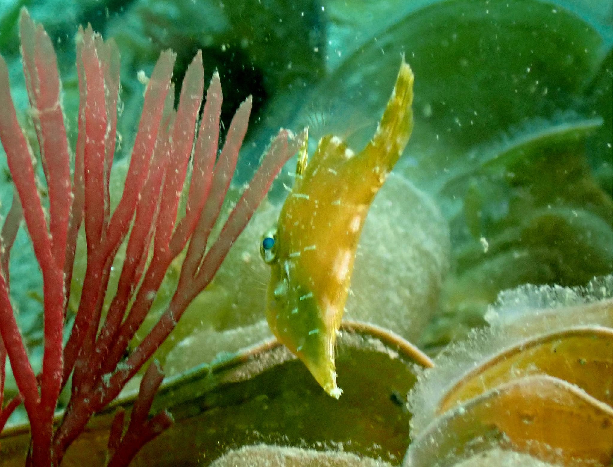 433950236_3128693257262174_626741186250846569_n