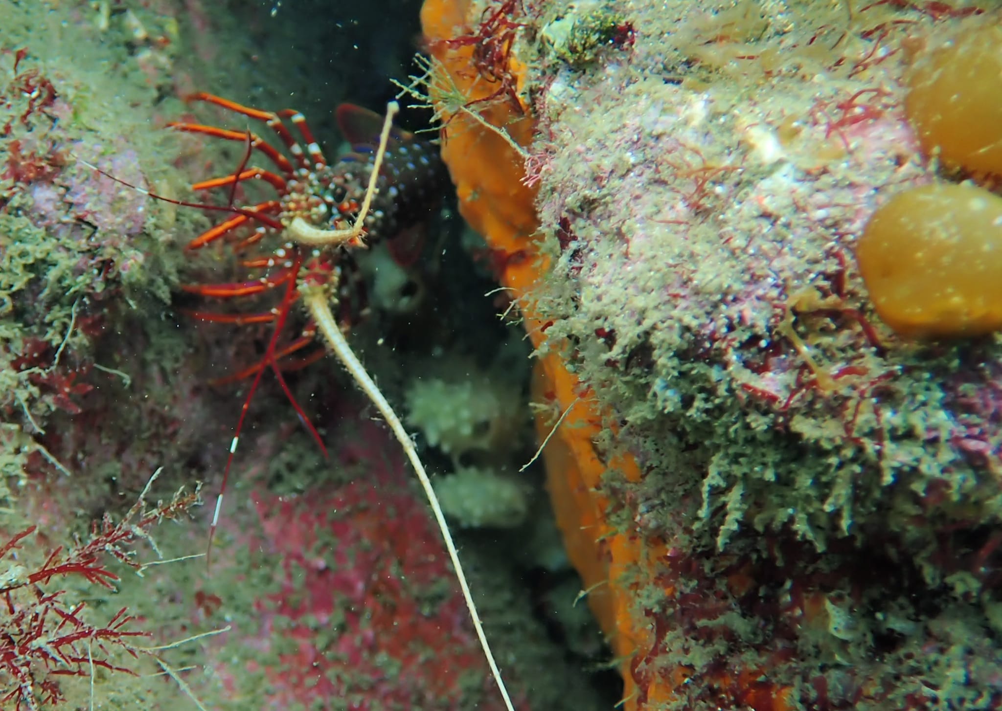 433962905_3128693330595500_6380430610437512414_n