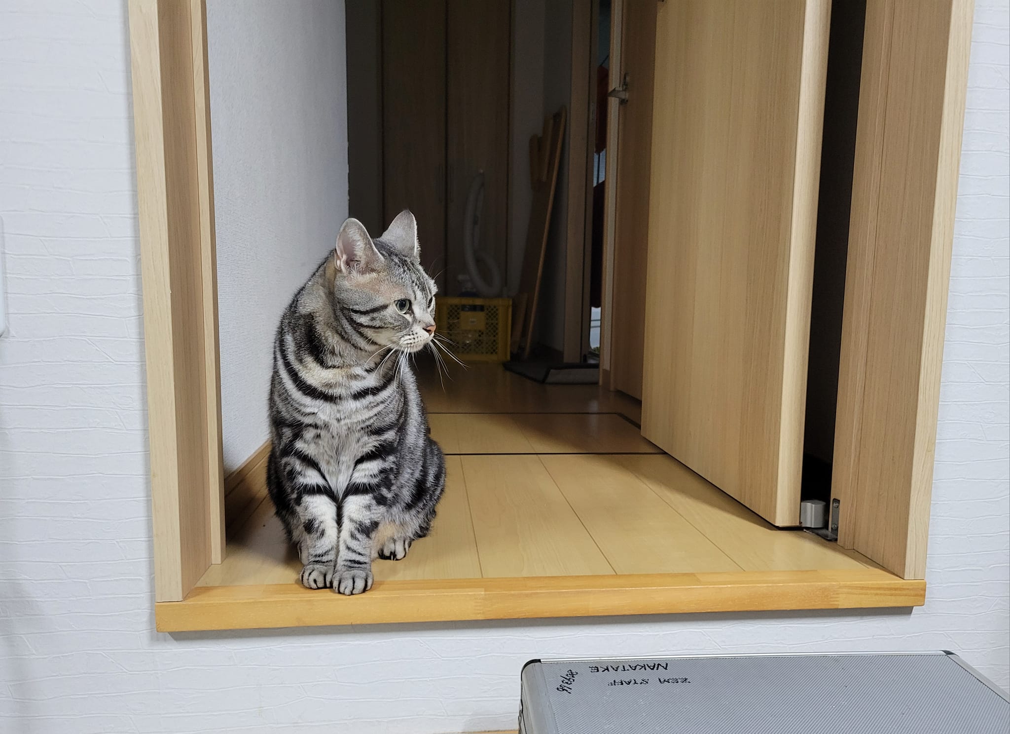 434039575_3126513780813455_2608042400622227937_n