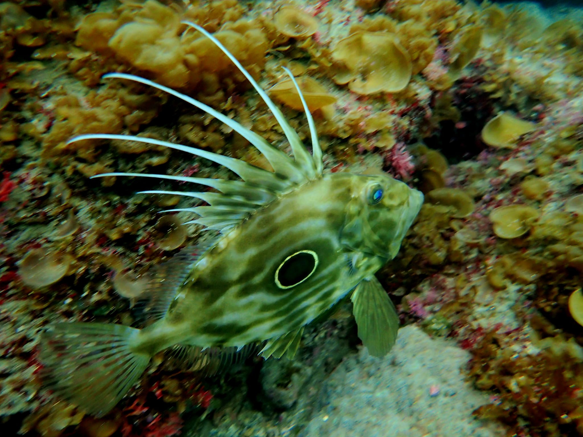 434421146_3128693370595496_8811371535194395801_n