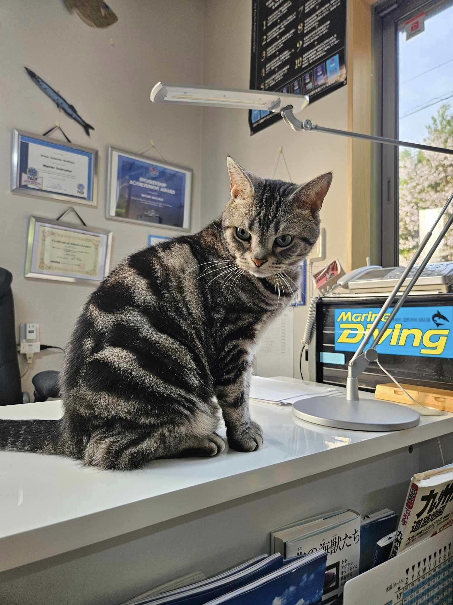 434450003_3127950000669833_5426532962512843613_n