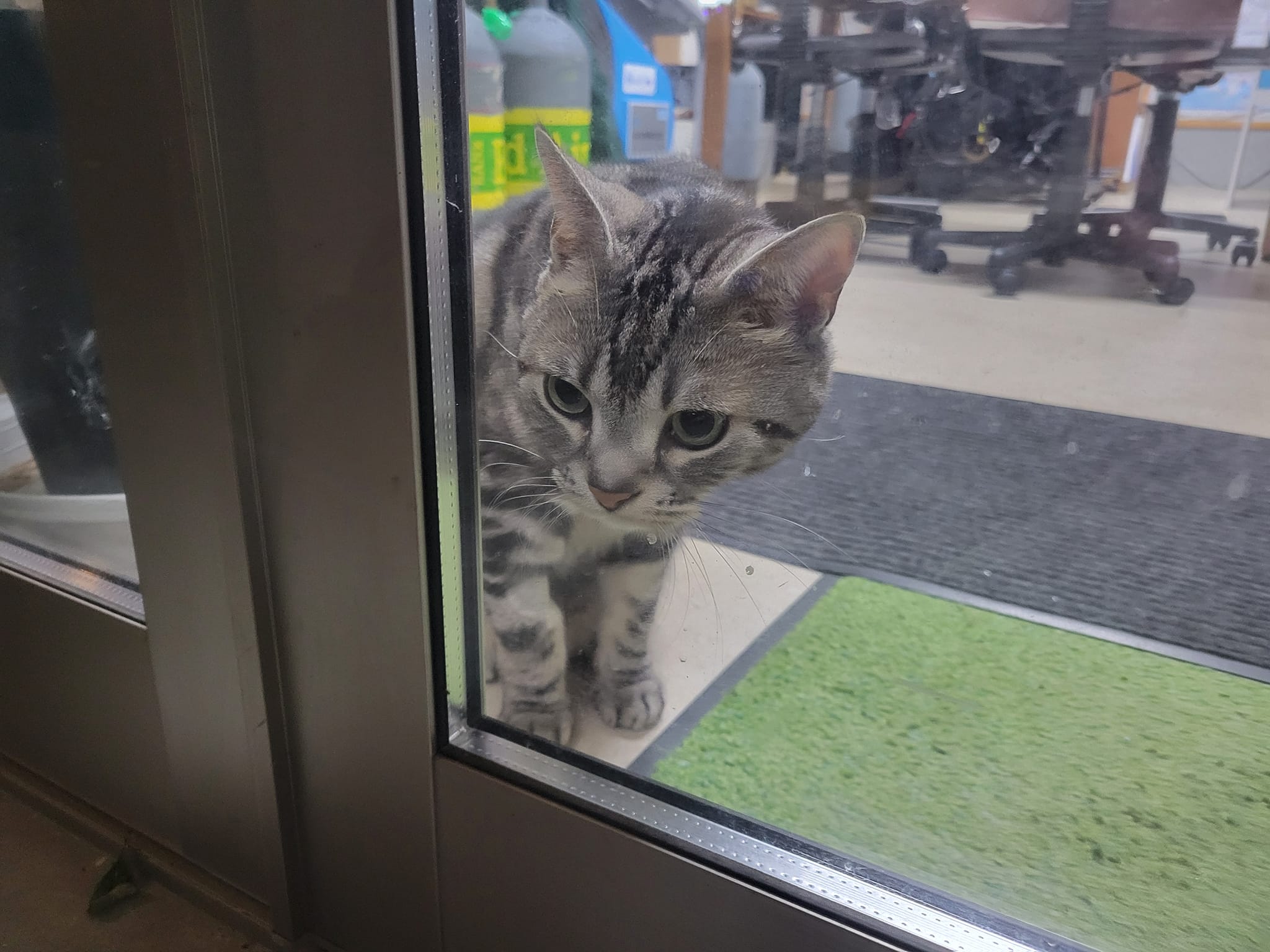 421984863_3149802021817964_1656805675128101818_n