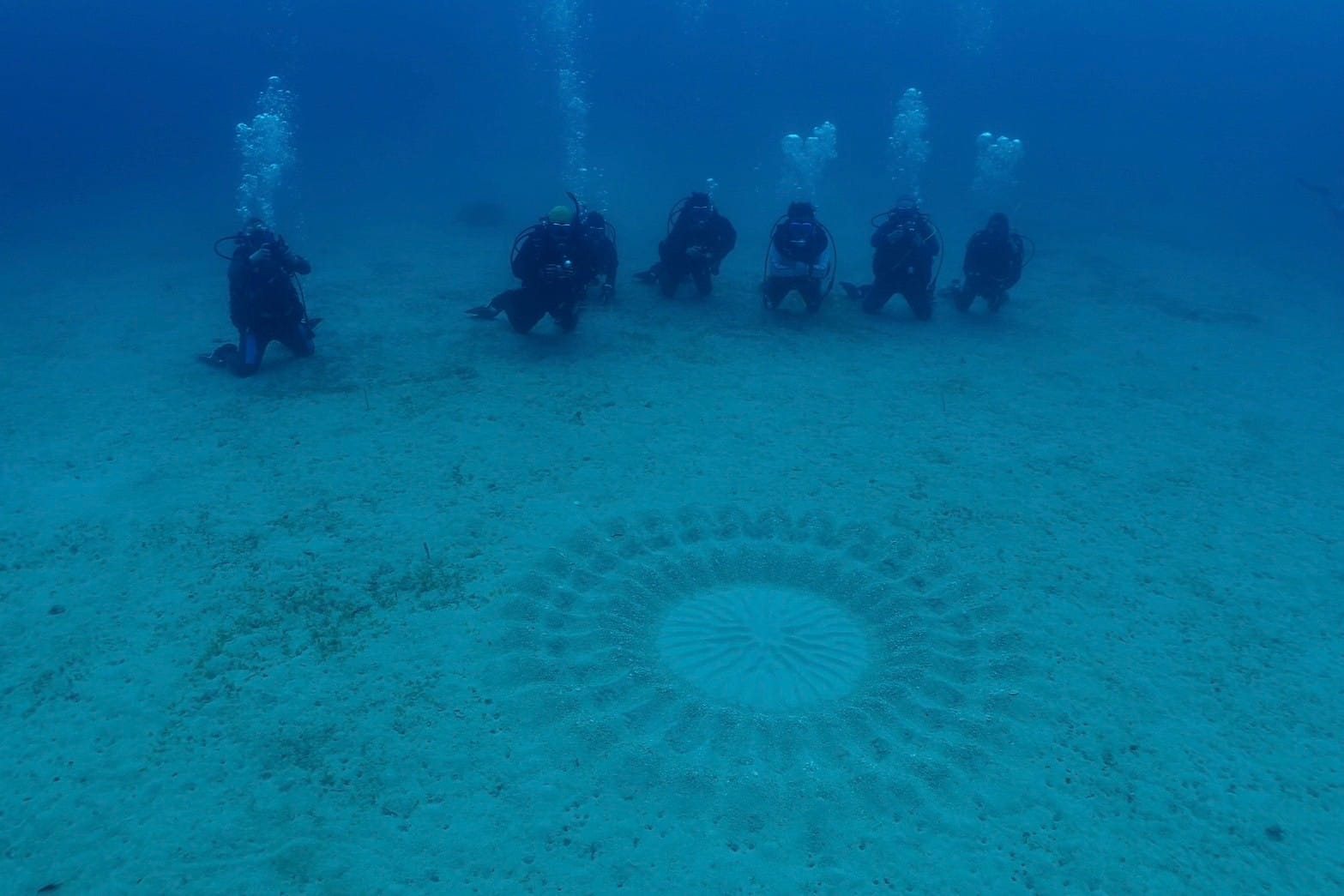 438095711_3148584681939698_3053351562690090594_n