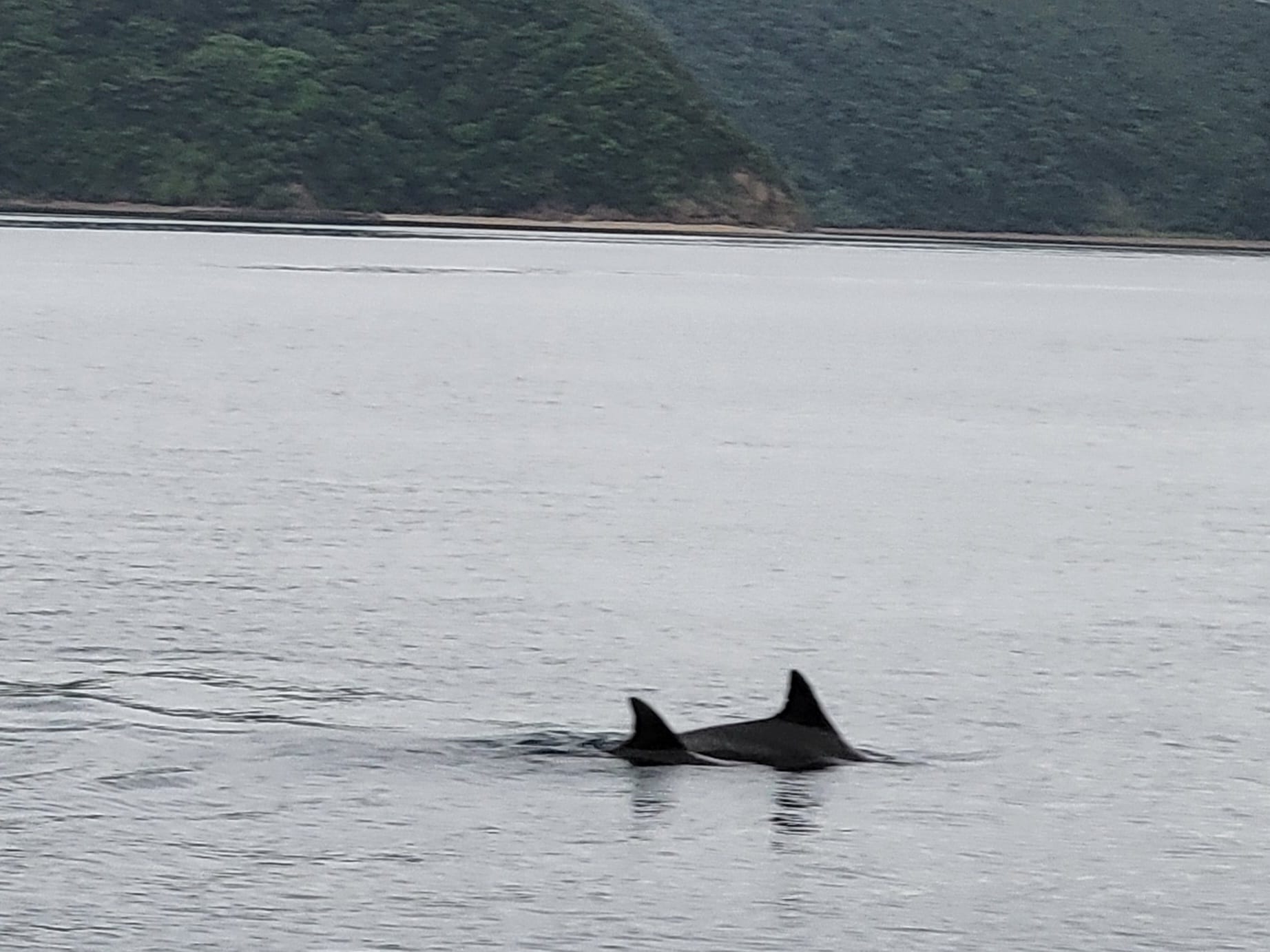 438098412_3148584871939679_2560377426606287767_n