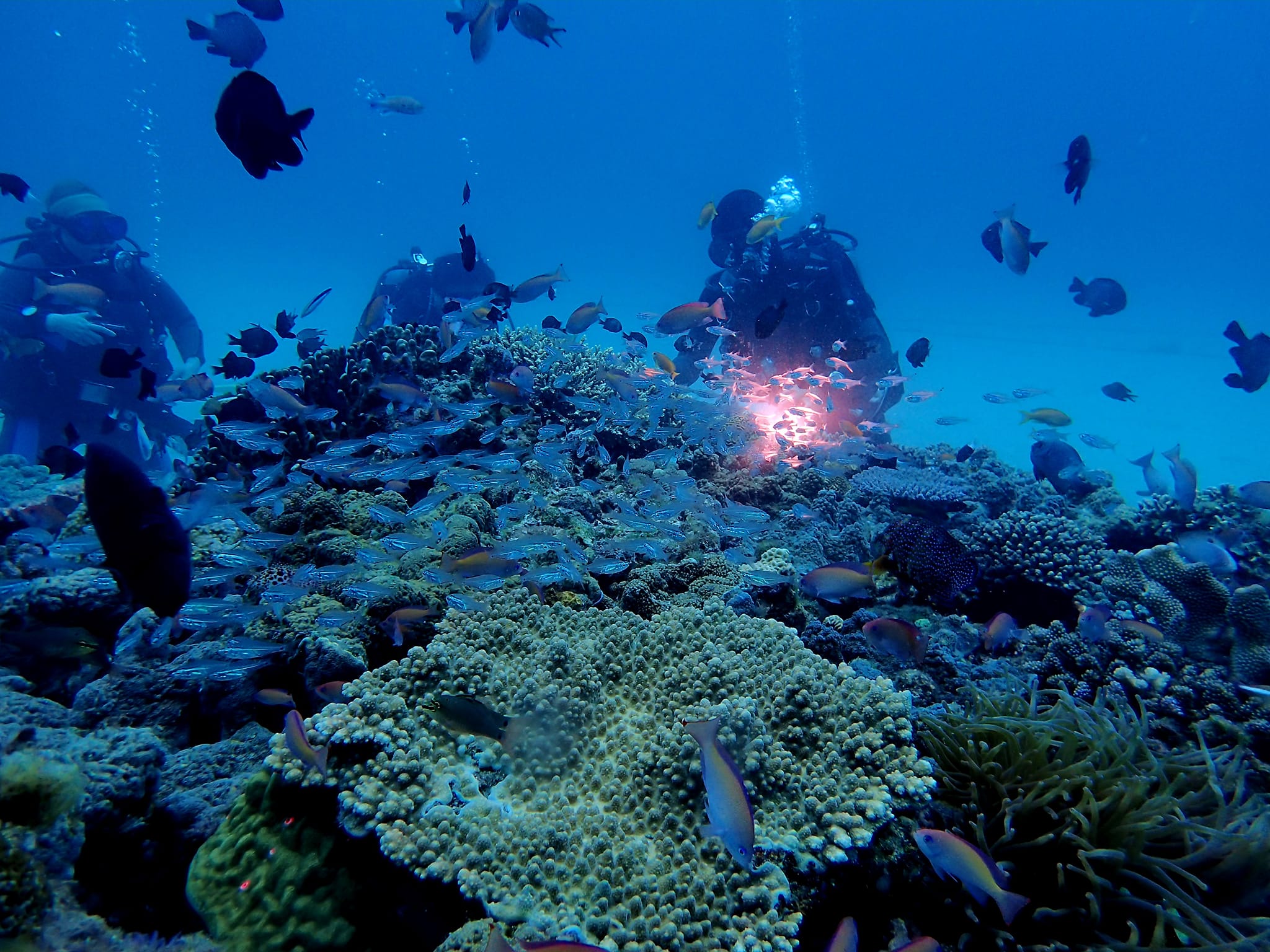 438099232_3148584845273015_5904606494787910953_n