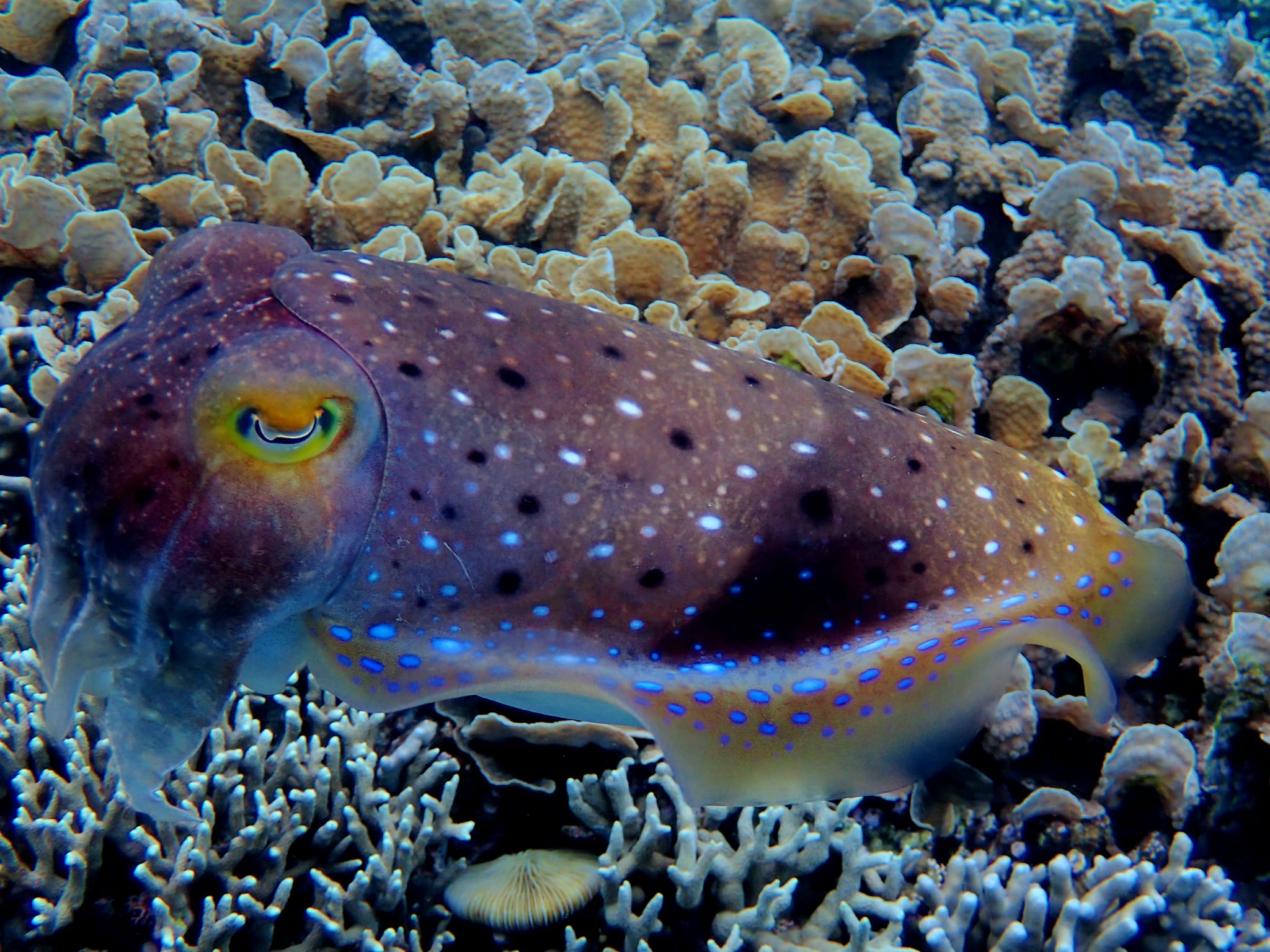 438128548_3149070615224438_1748460500931991290_n