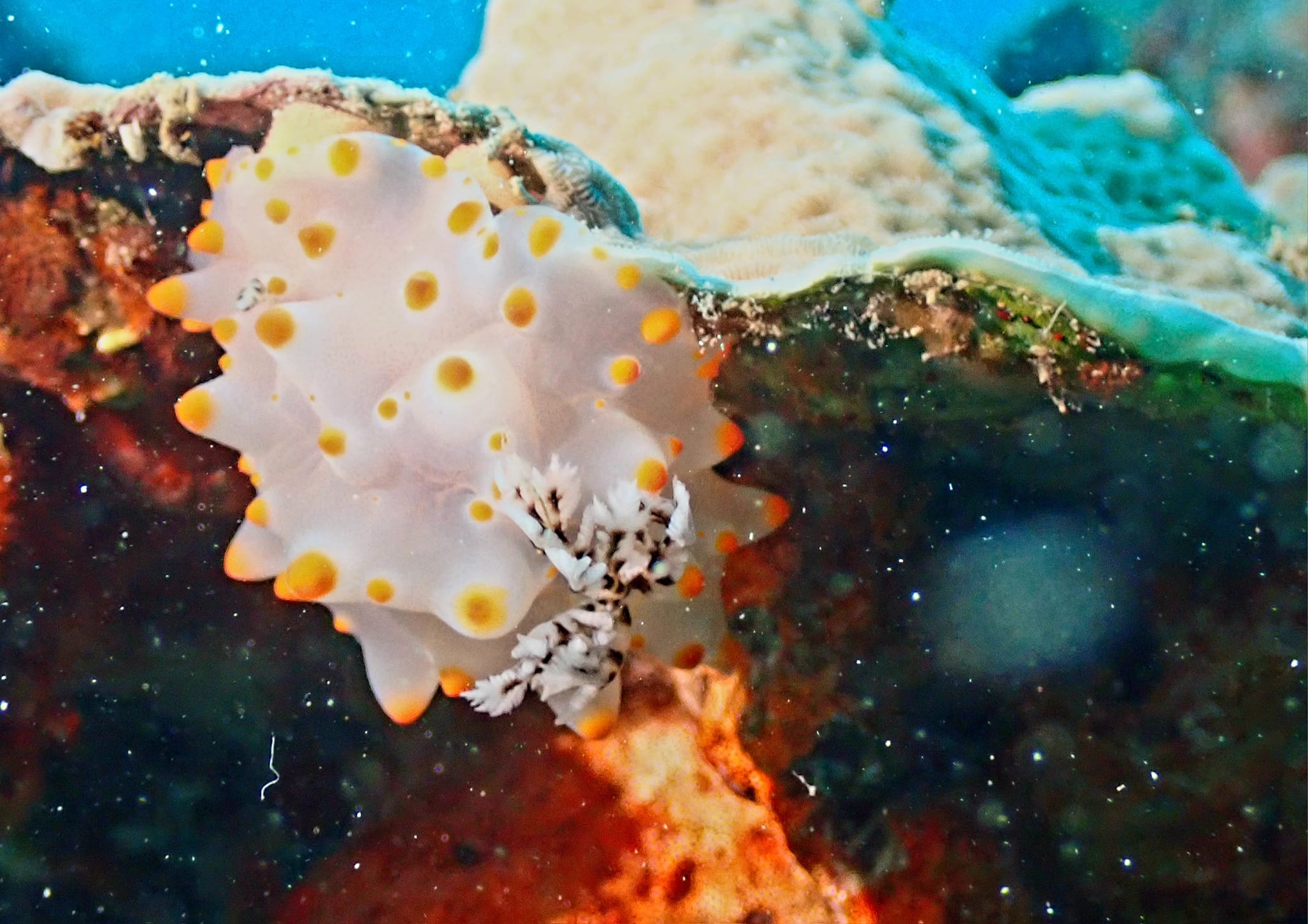 438164409_3148584971939669_921140107641635106_n