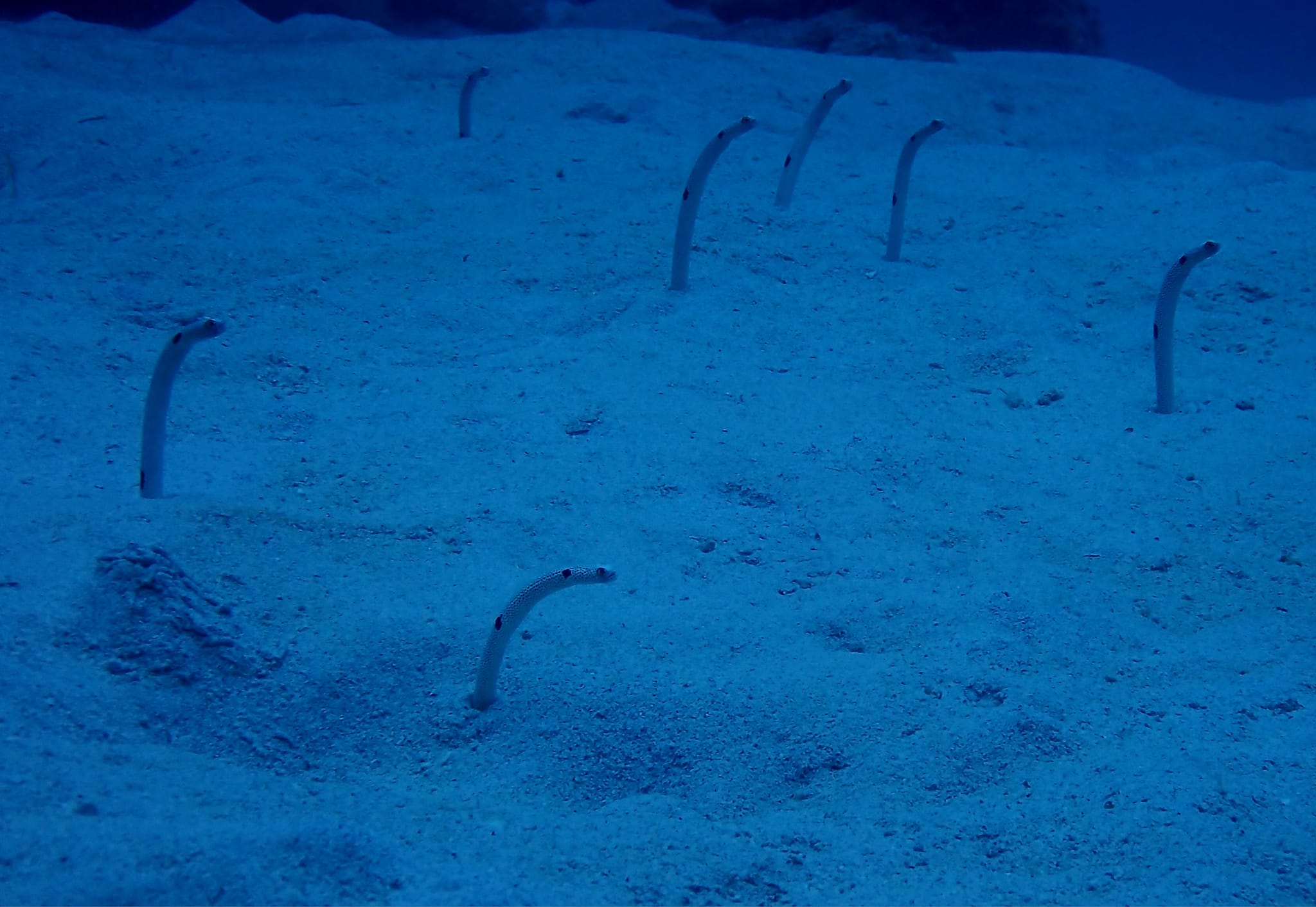 438165666_3148585008606332_8043783132418872687_n