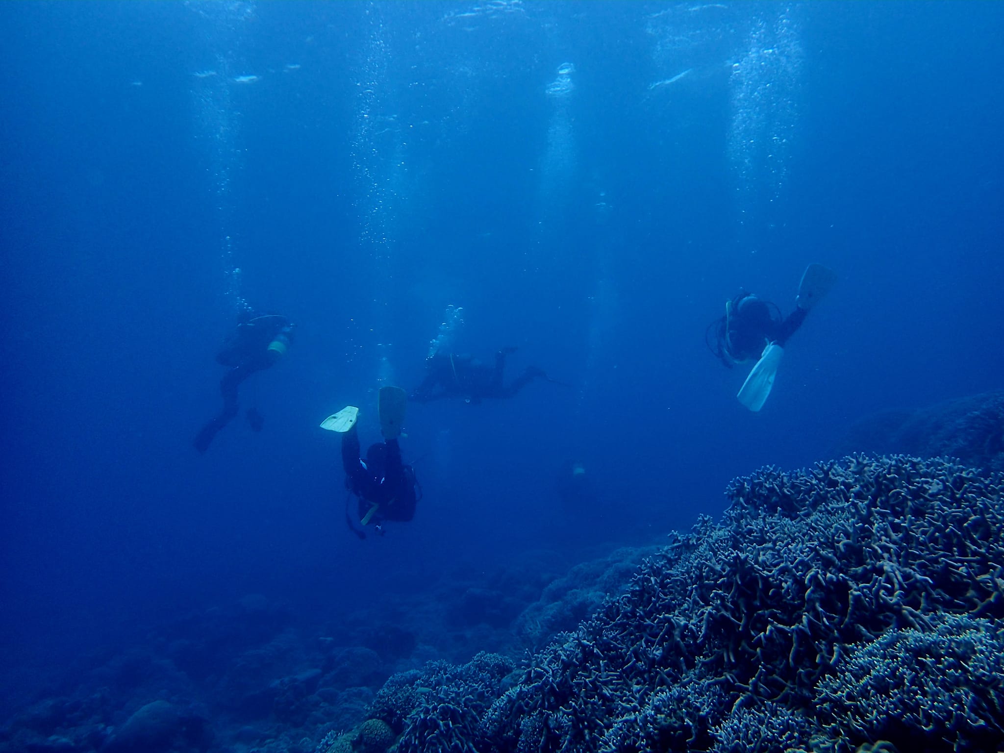 438172260_3149076901890476_6118422564777475822_n