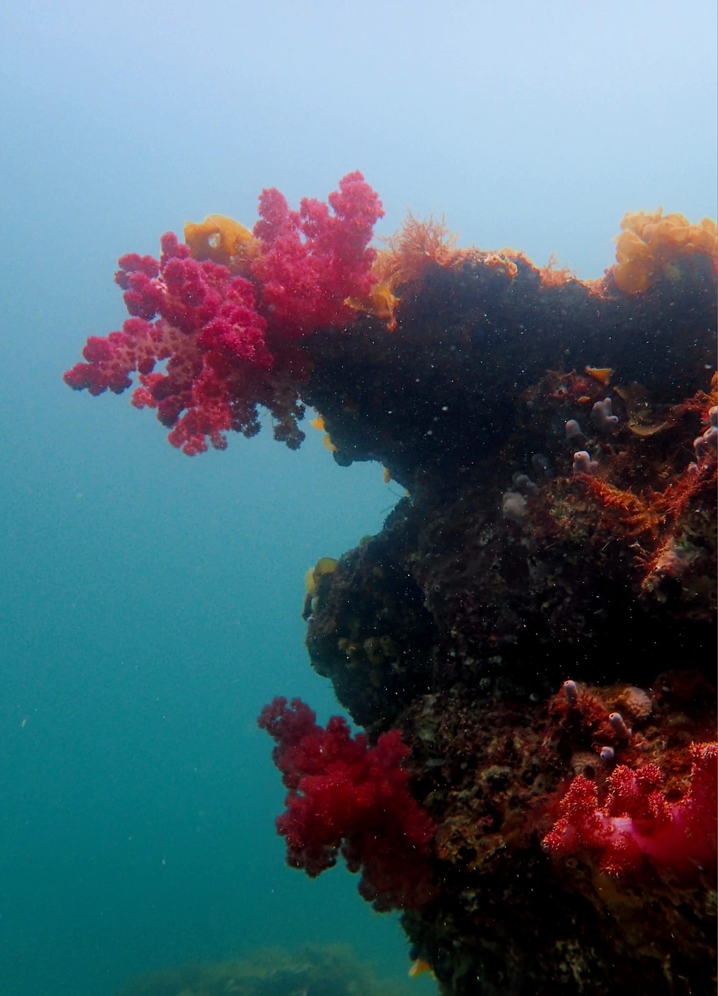 441067792_3158393334292166_8102000954068267305_n