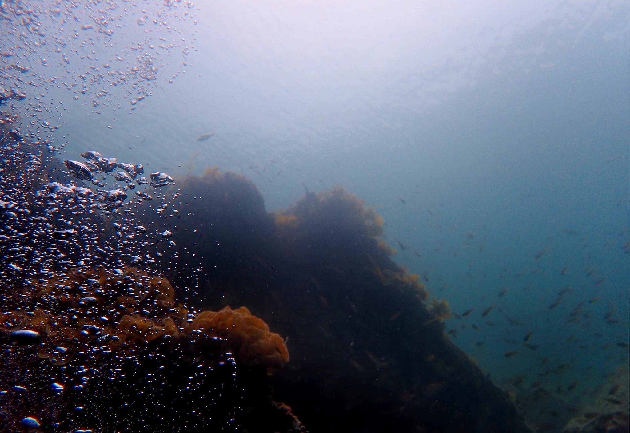 441147090_3158393304292169_8595185254795047785_n