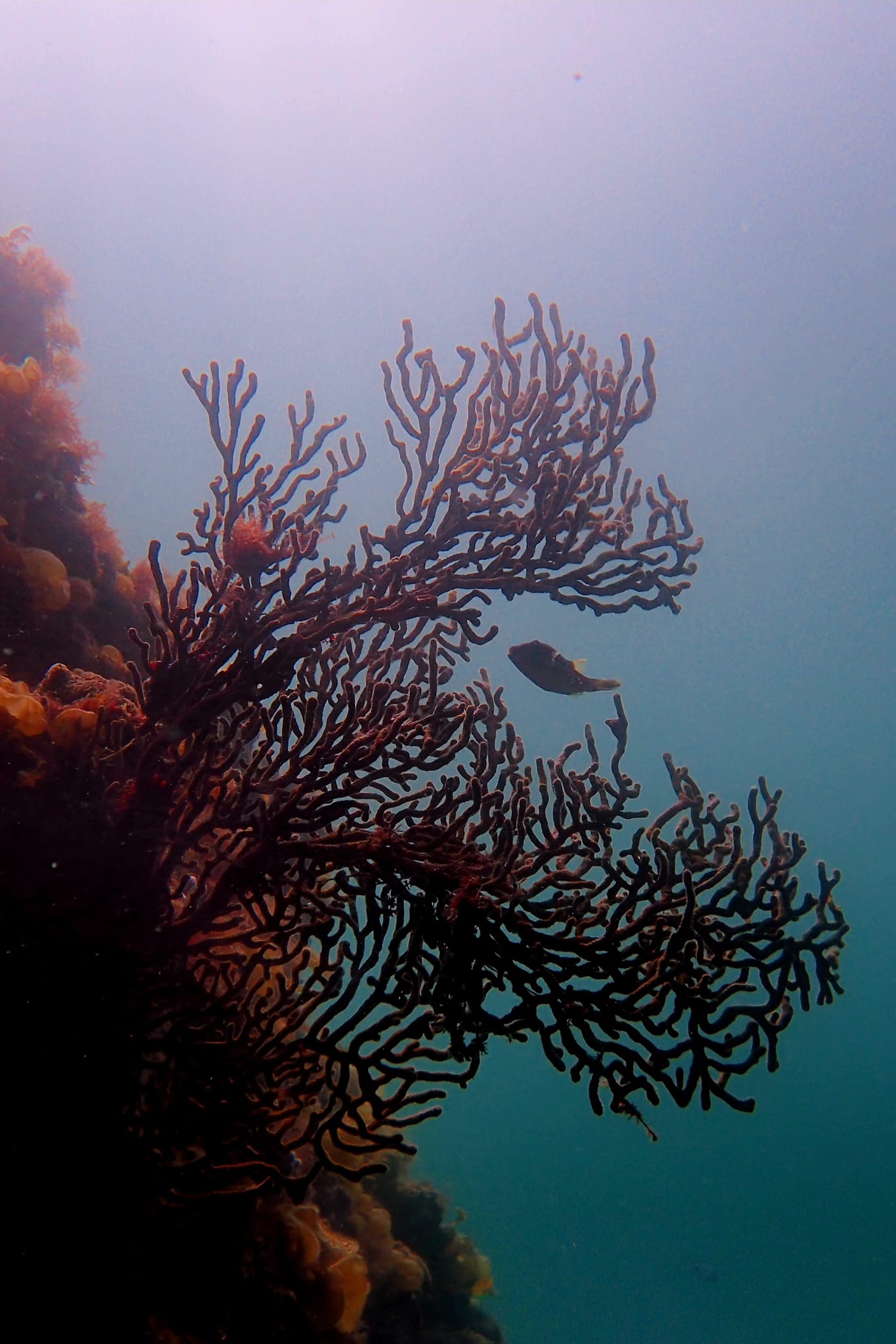 441215419_3158393404292159_2973229698425645565_n