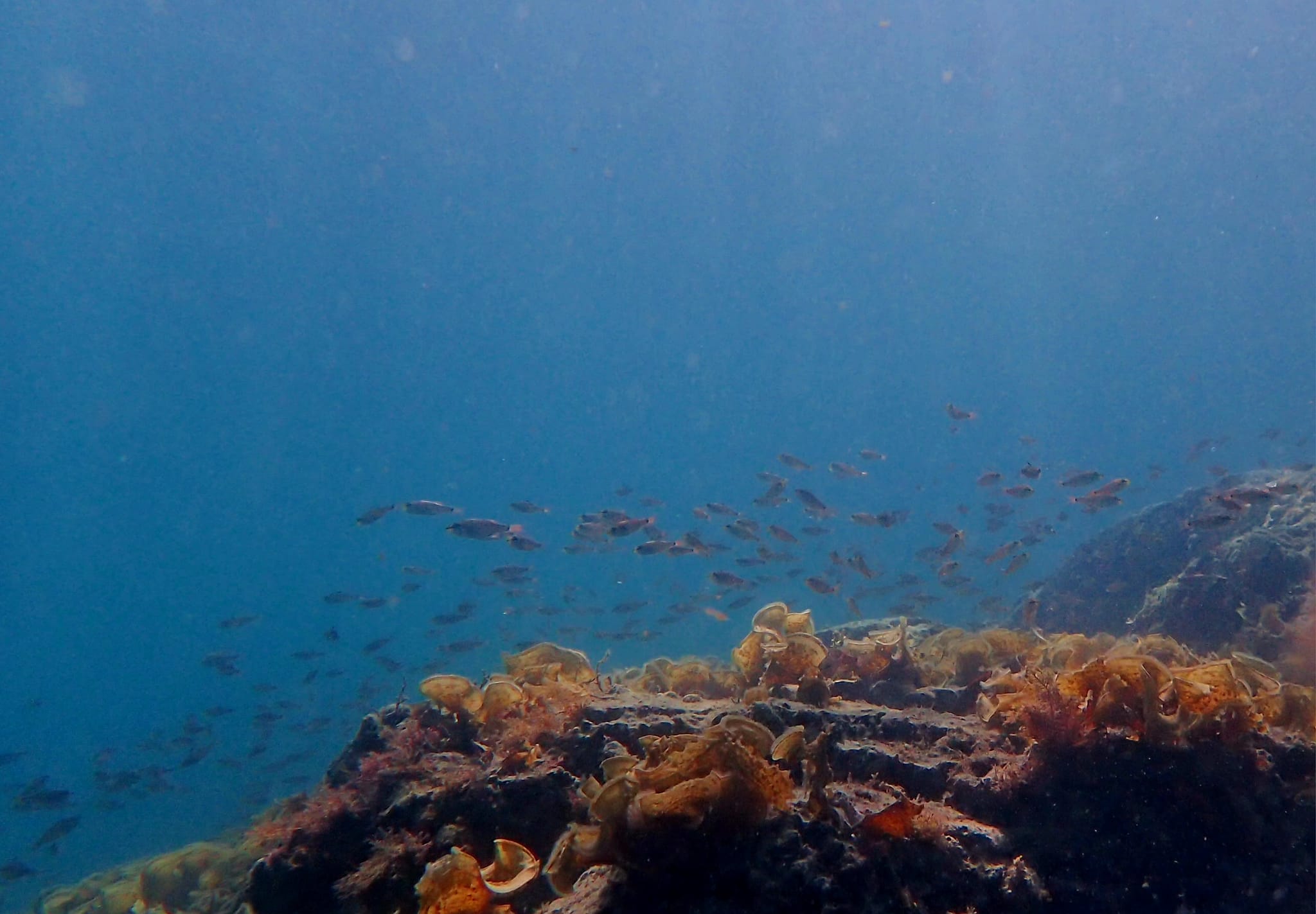 445095744_3170081443123355_426251911966569235_n