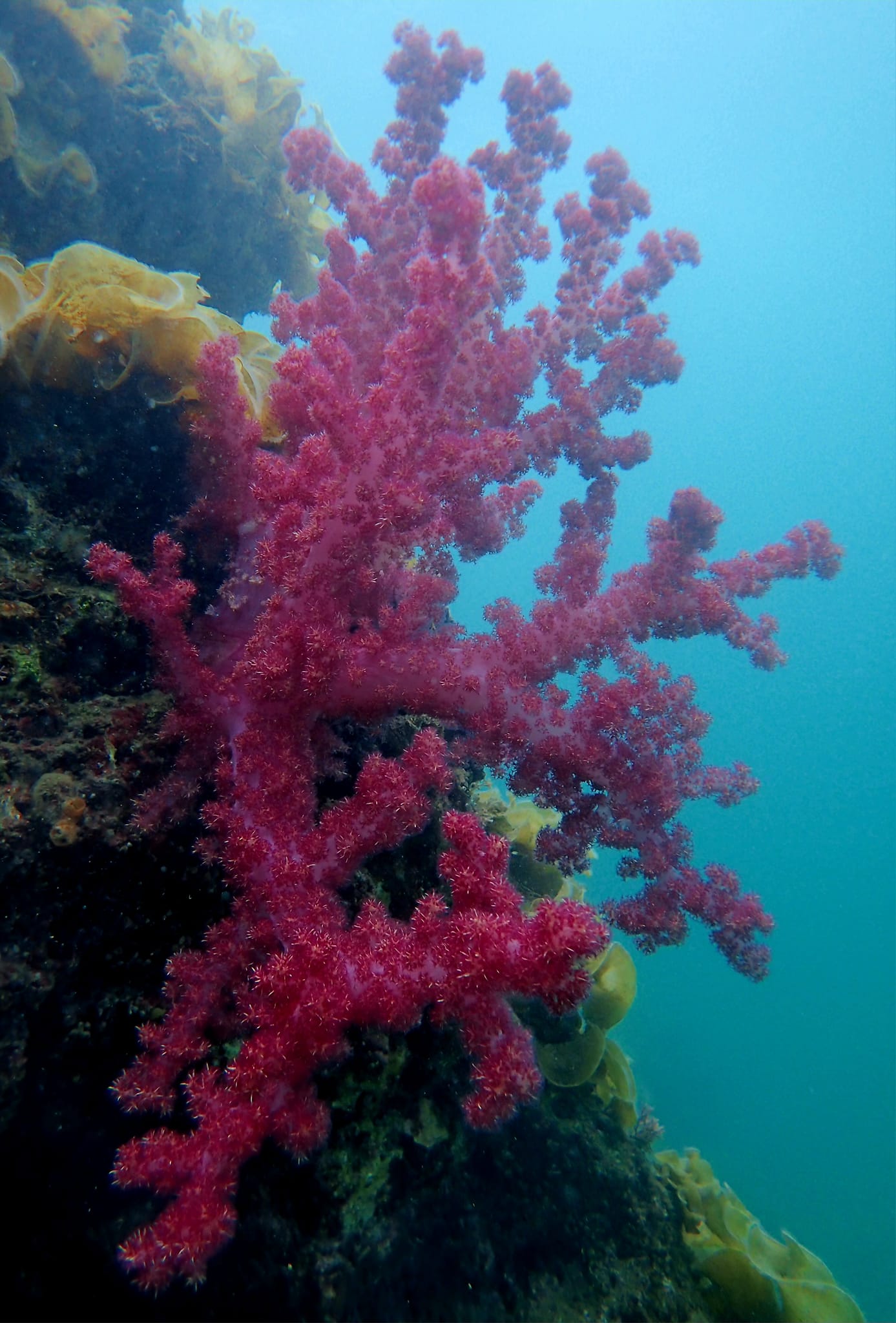 447733212_3177825575682275_4679886915830012885_n