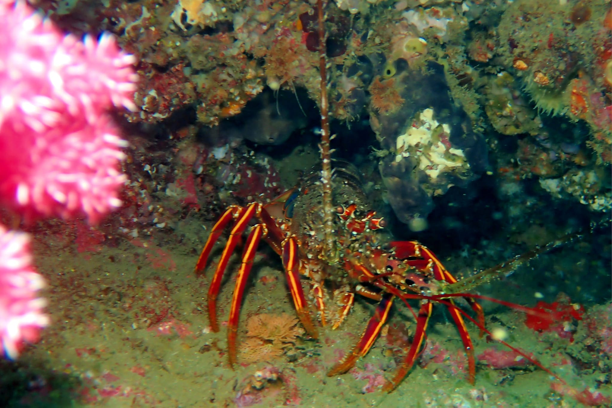 447753000_3177825305682302_6956717086967341713_n