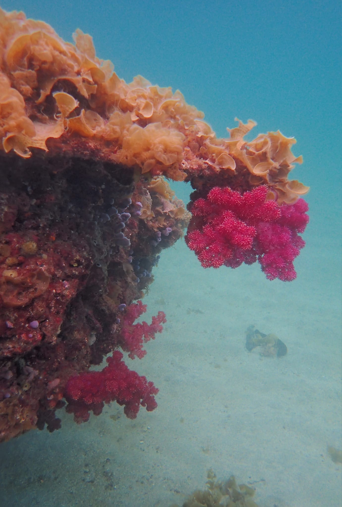 447771887_3177825259015640_1895887093016015528_n