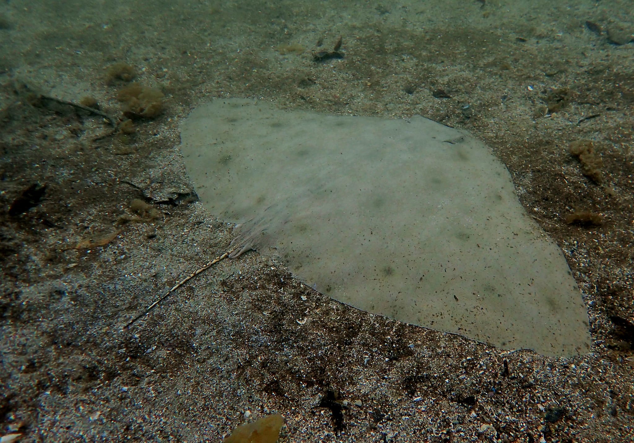 447804875_3177825392348960_4316901071558941769_n