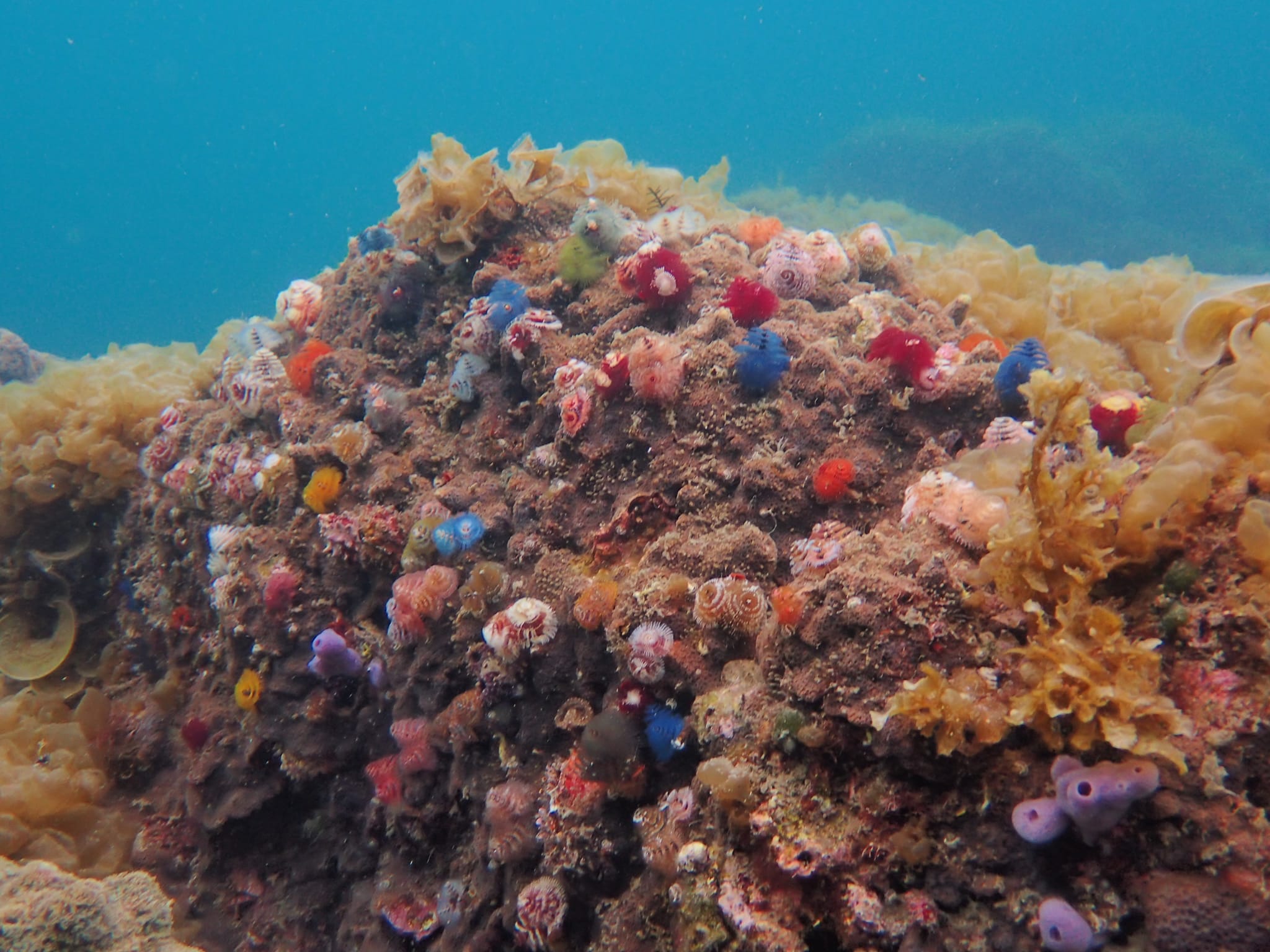 447895059_3177825525682280_6215254773616634366_n