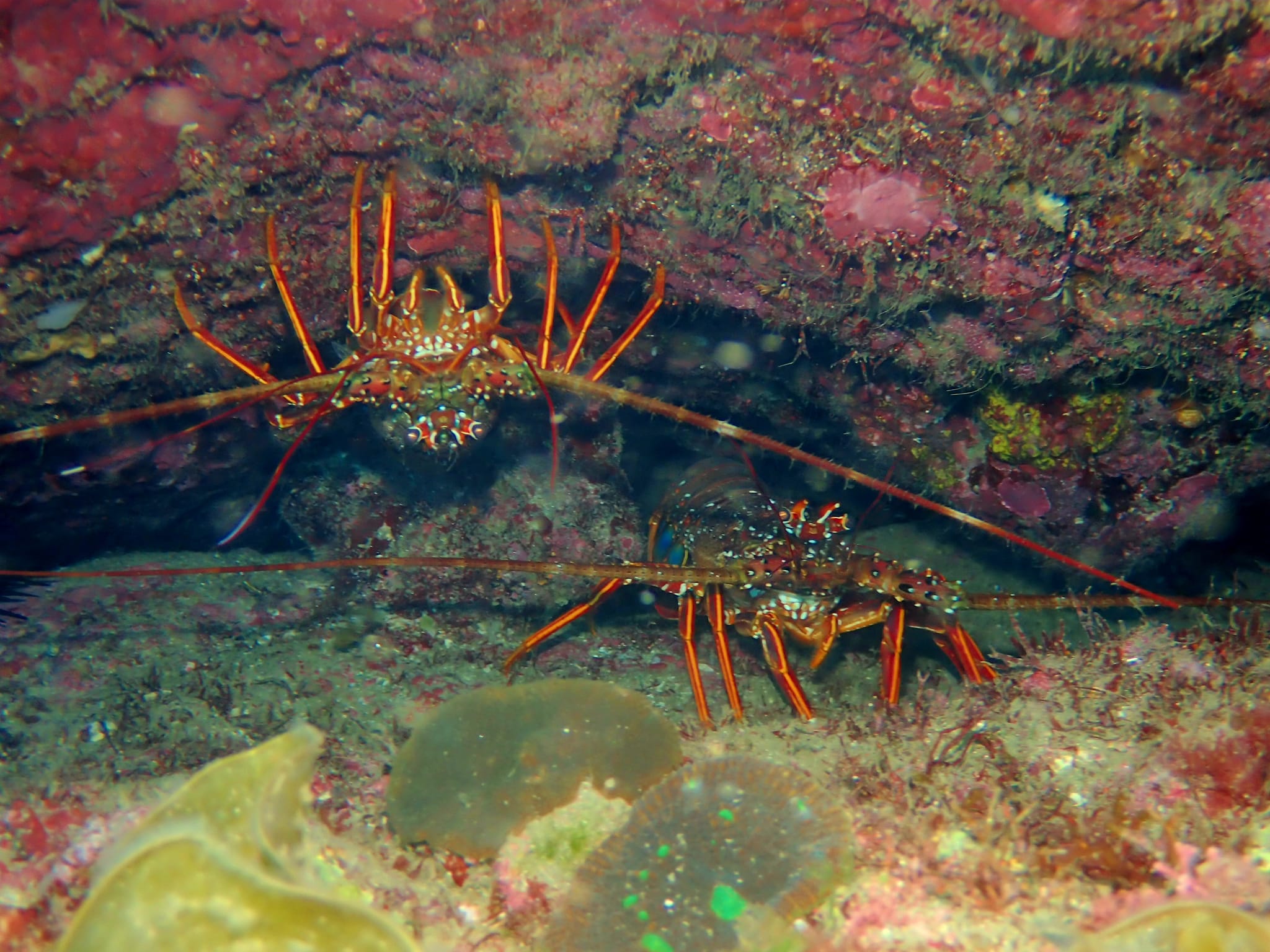 448545522_3186370004827832_440406911209671627_n